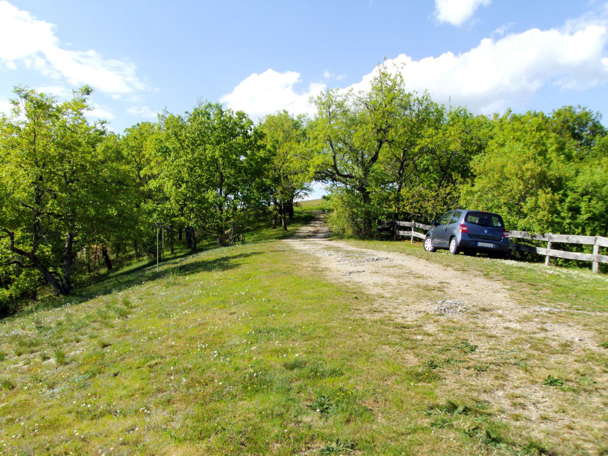 View