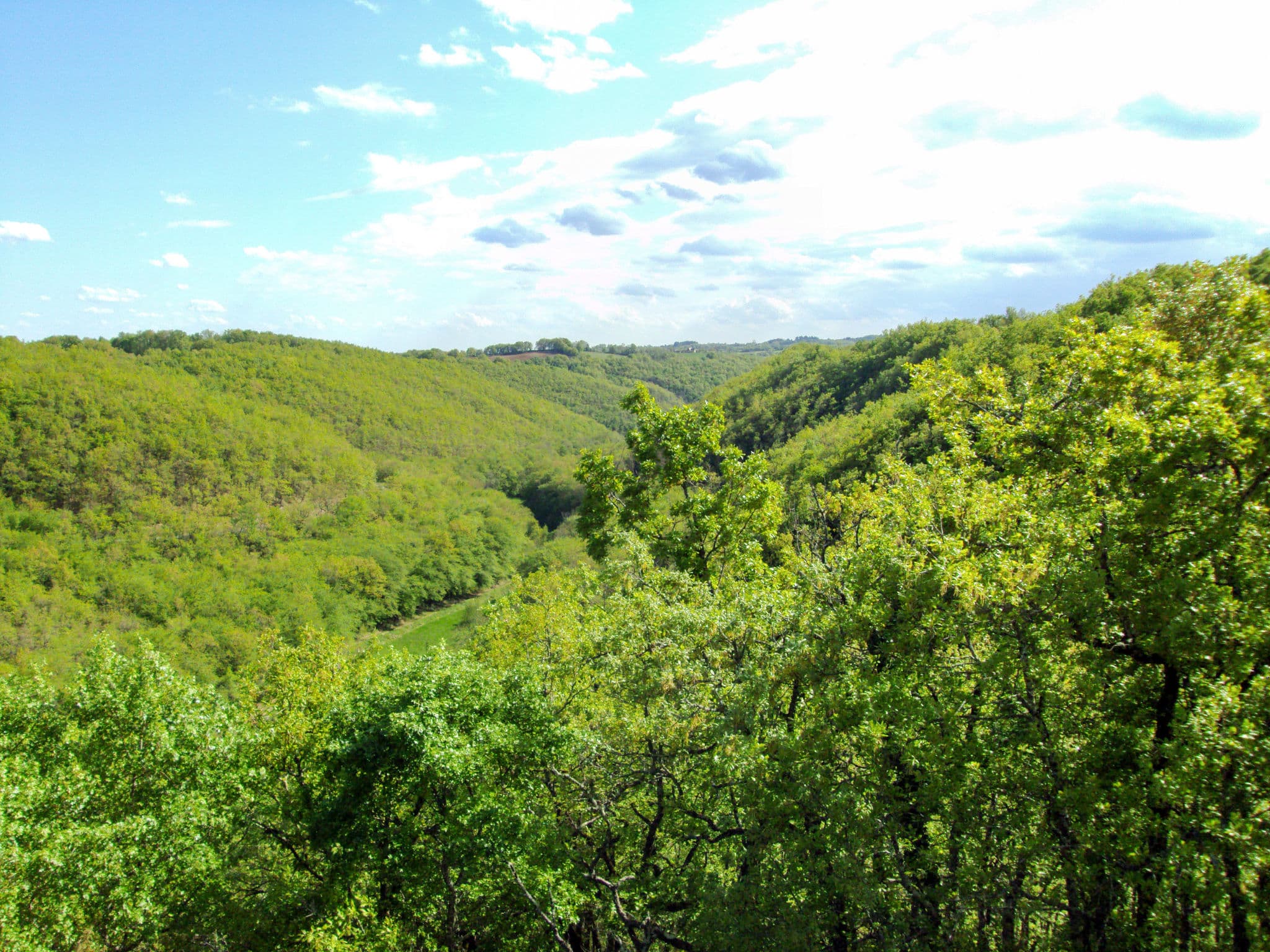 View