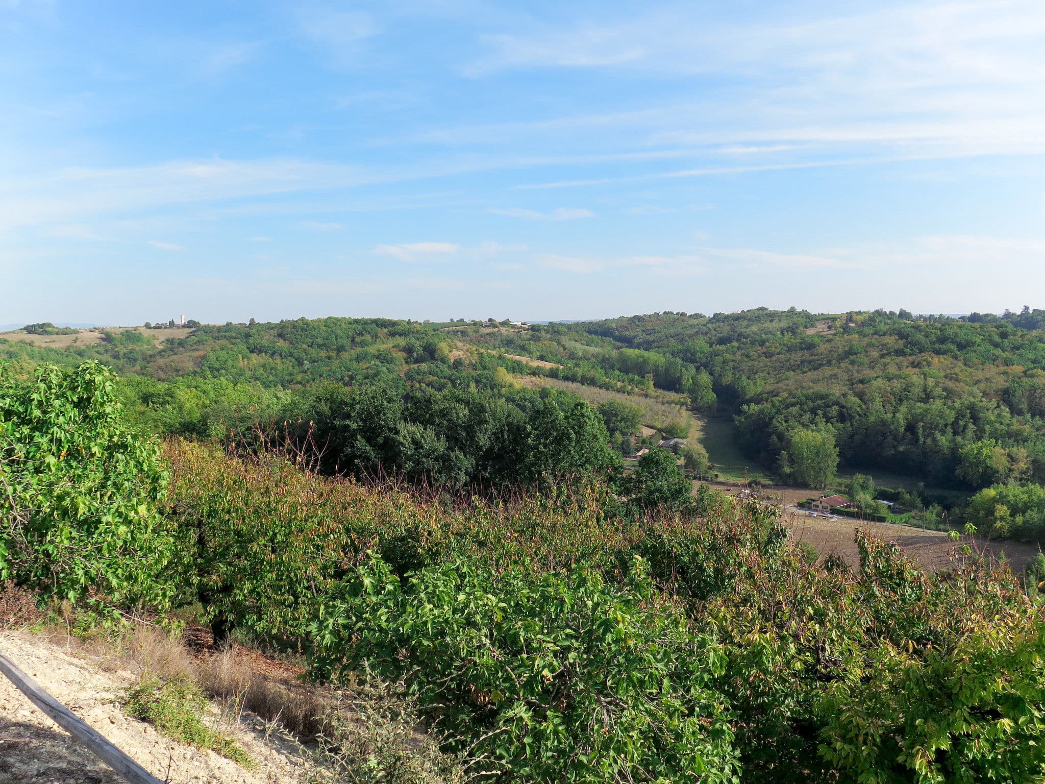 View