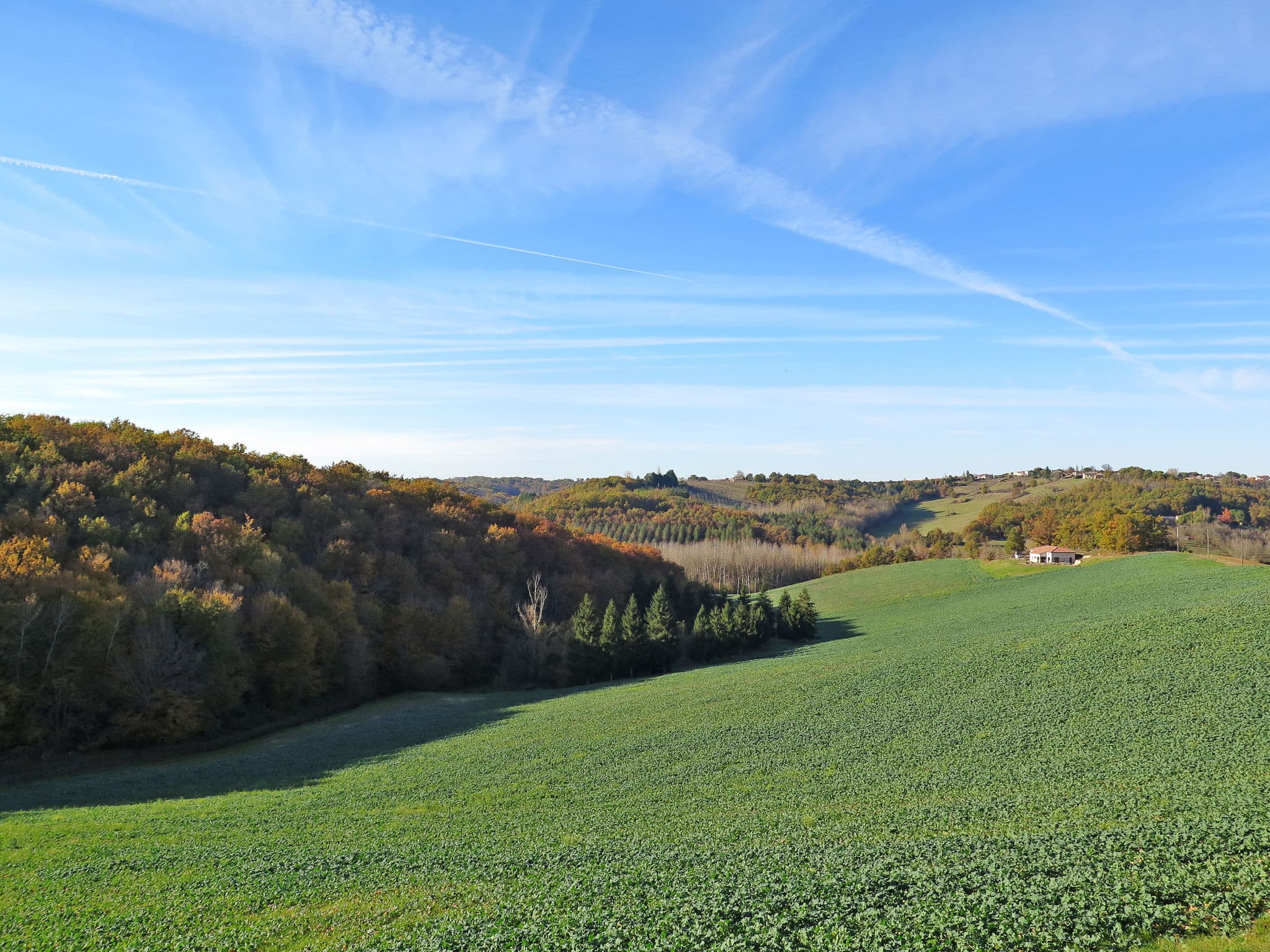View