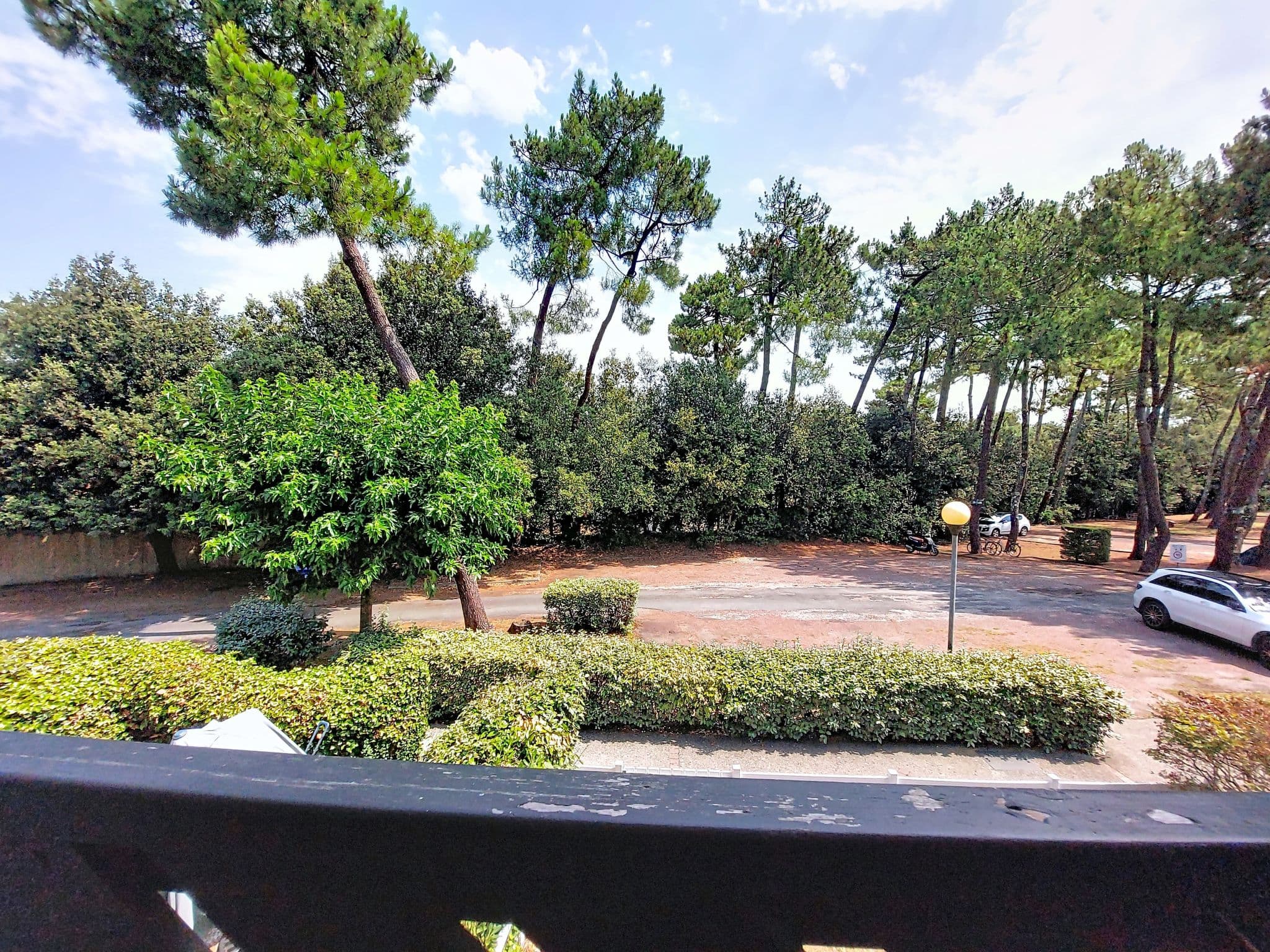 View