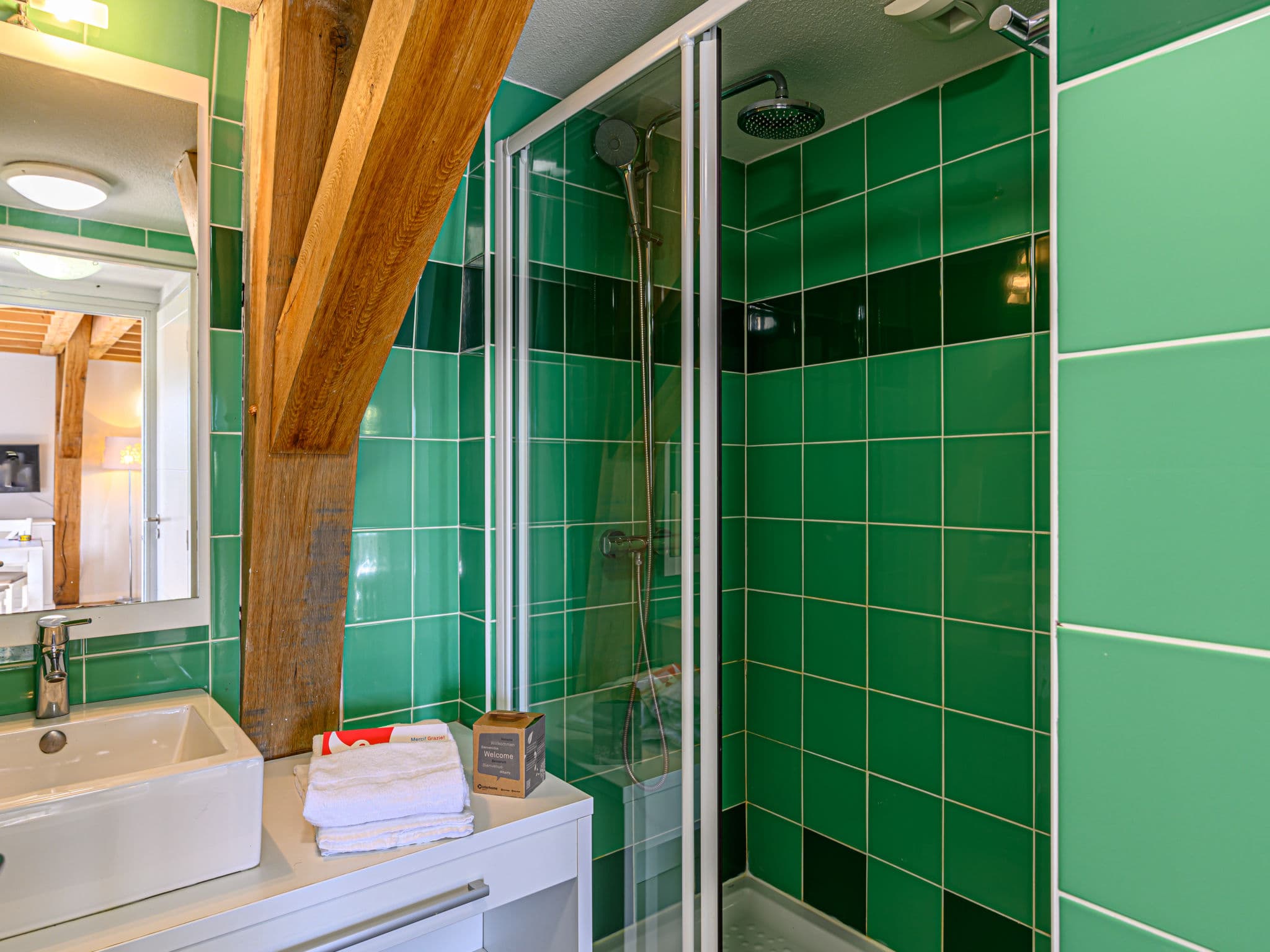 Bathroom / Wellness
