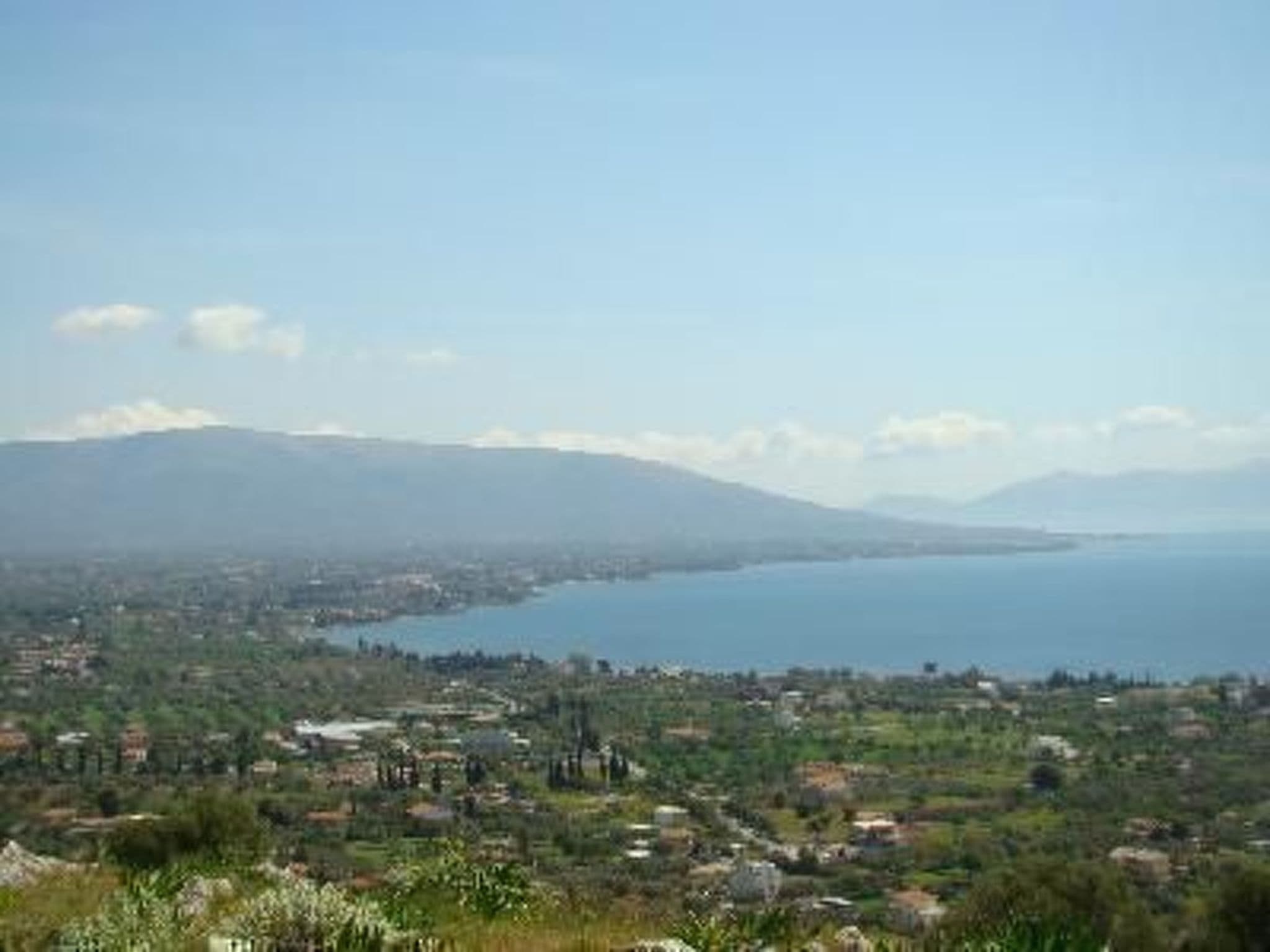 Gallery Image 21