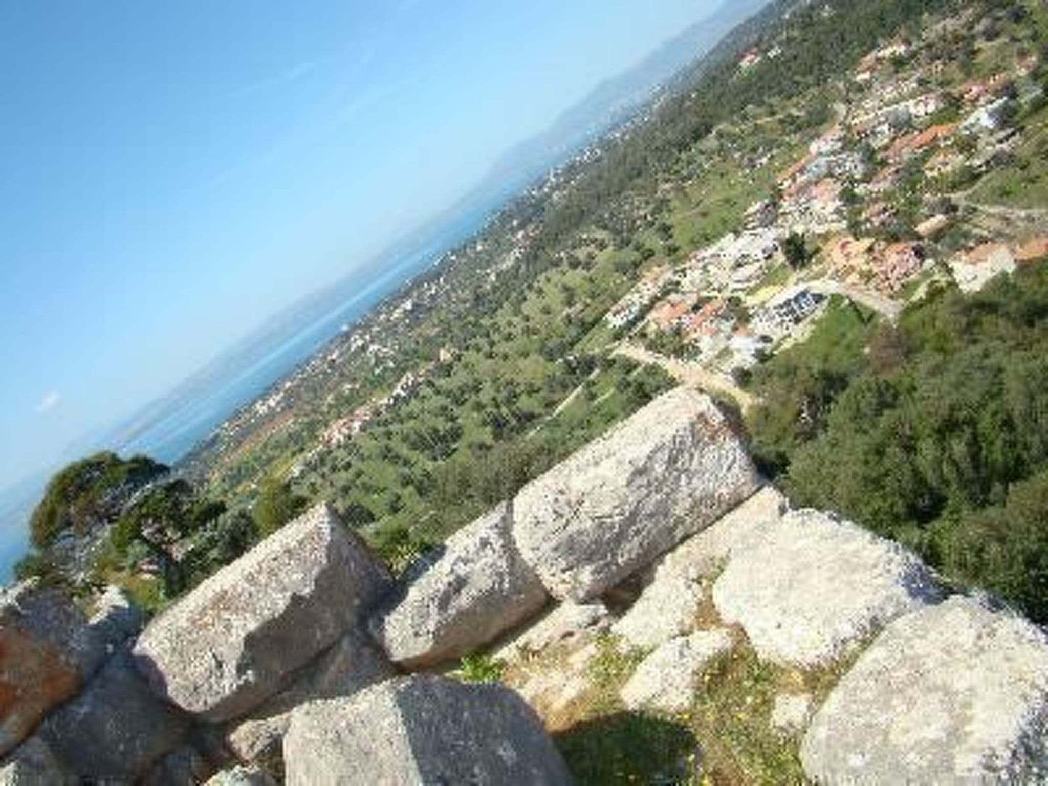 View