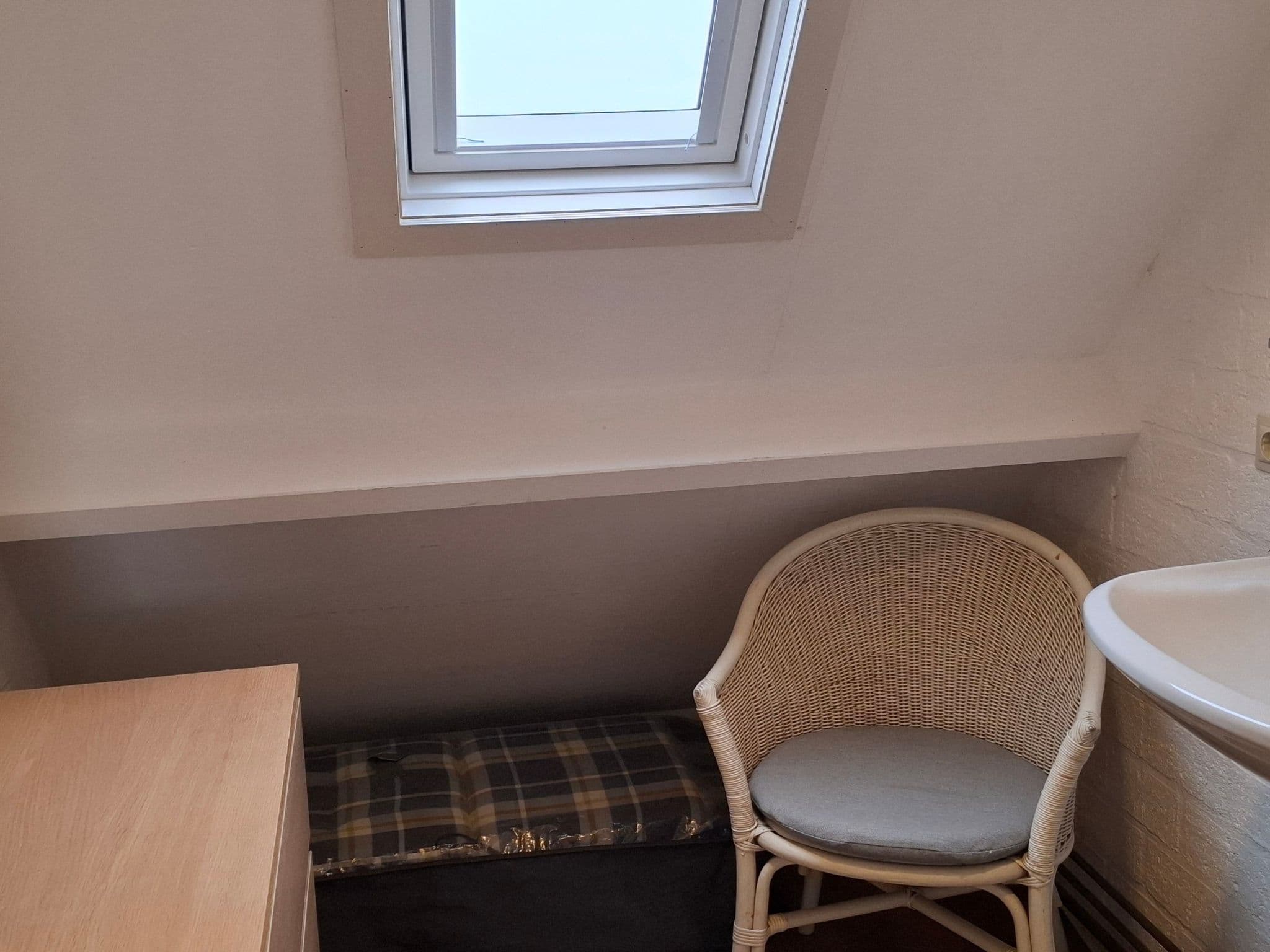 Gallery Image 16