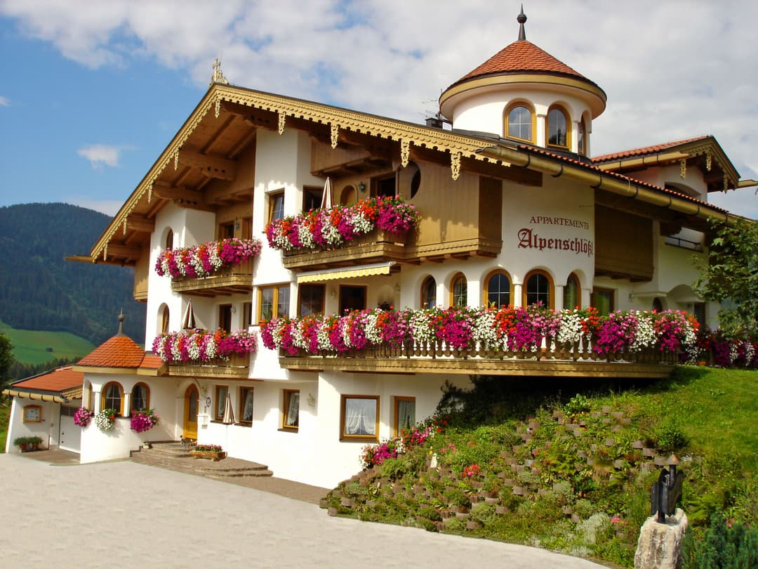 Large Image