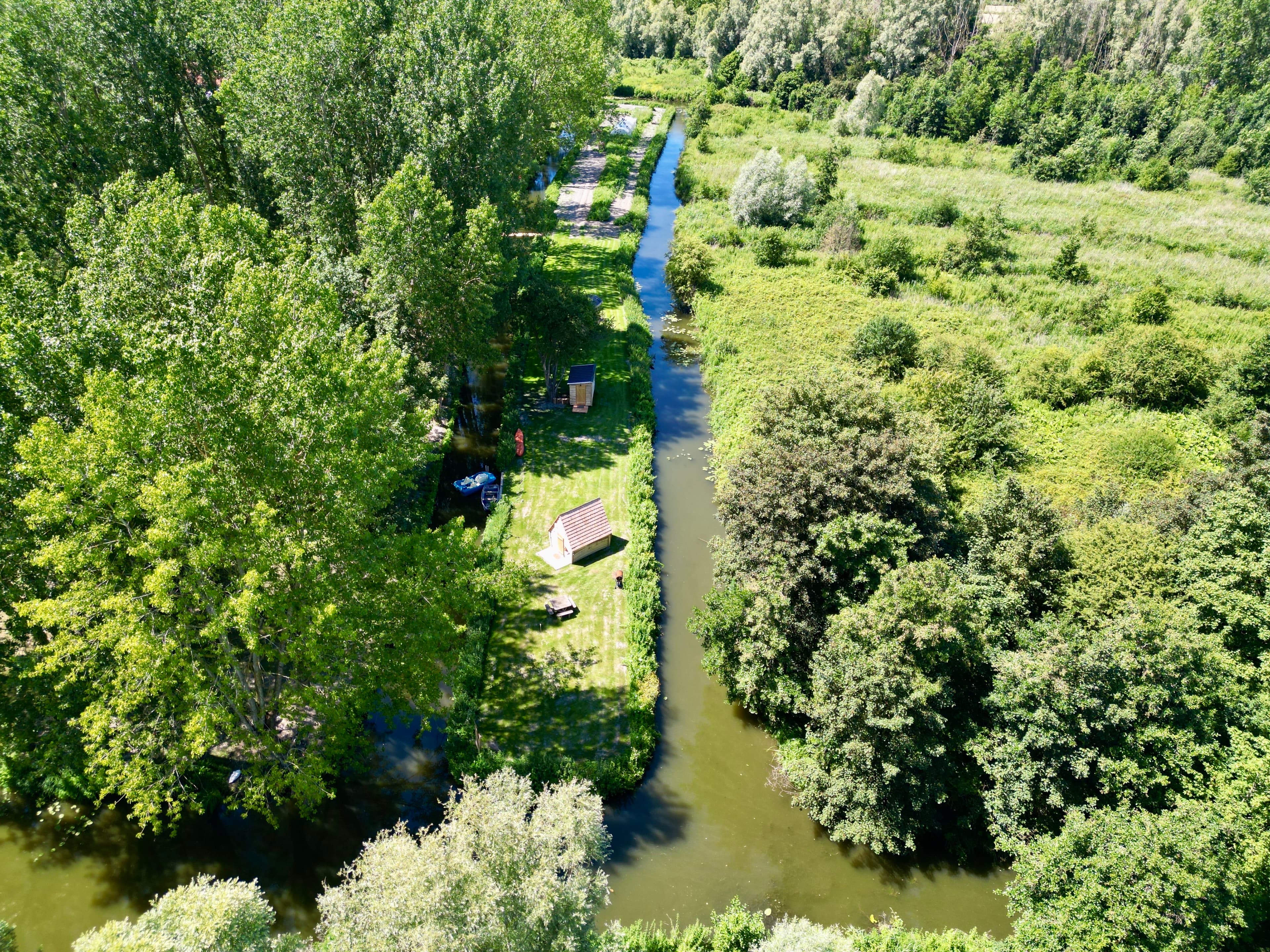 Au milieu du marais