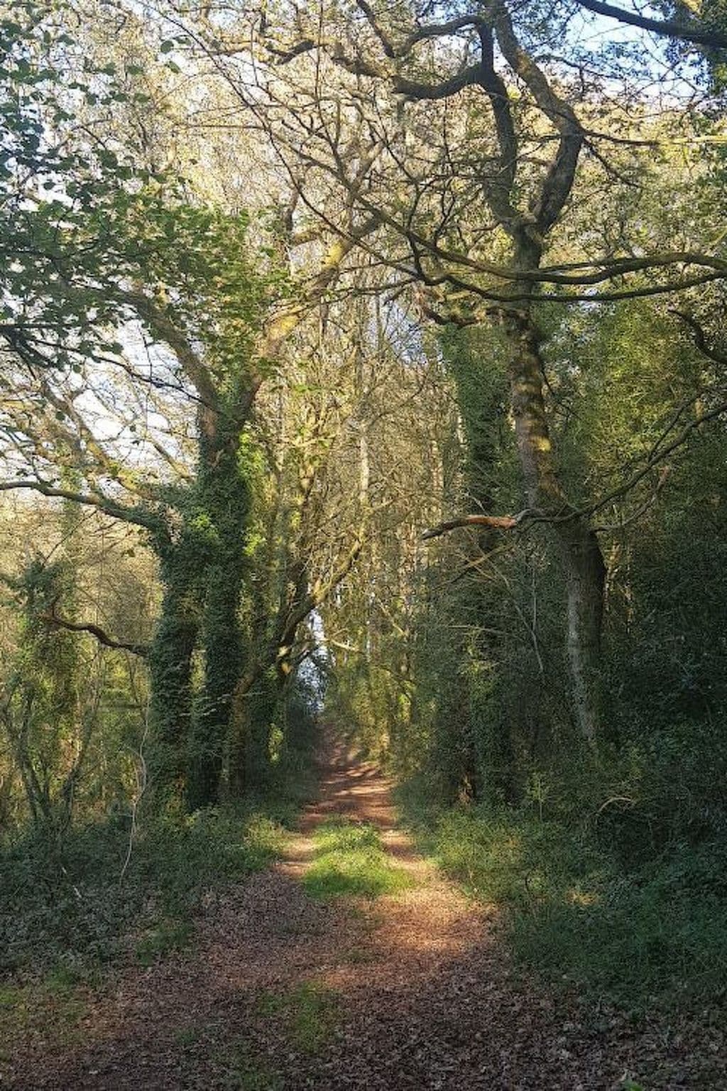 Gallery Image 17