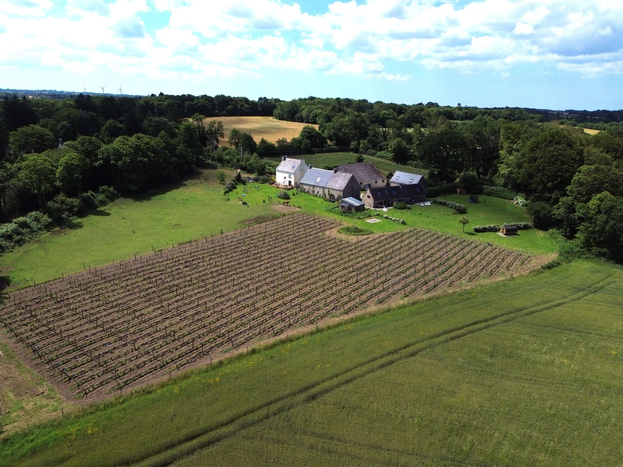 Aerial photography
