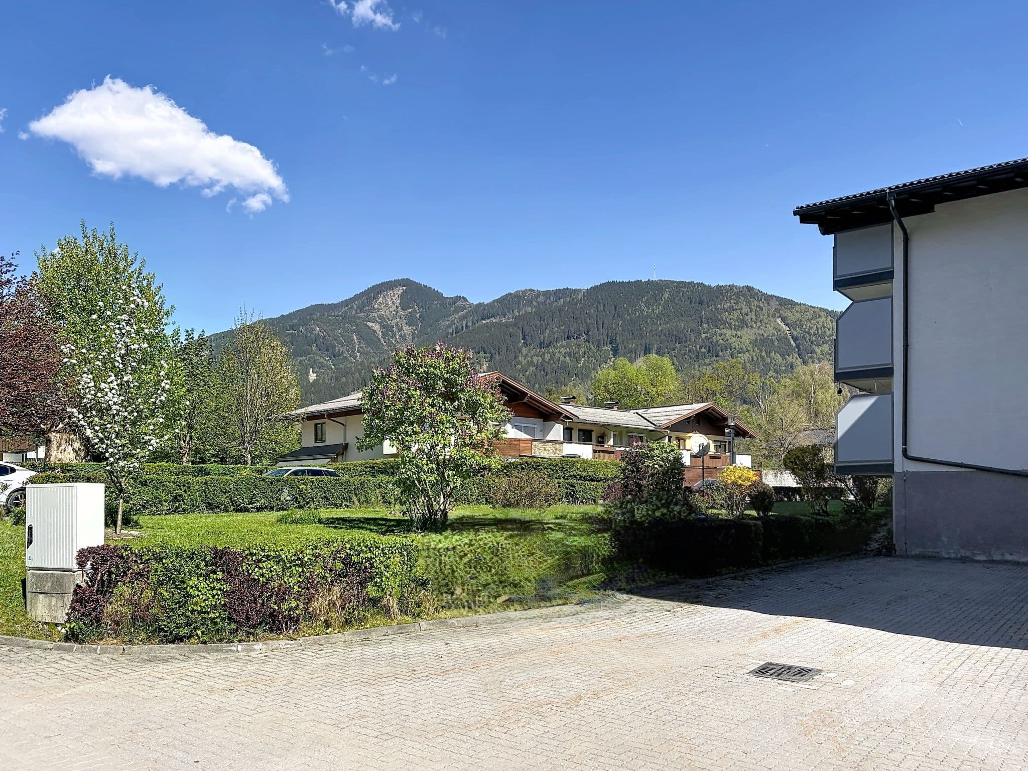 View