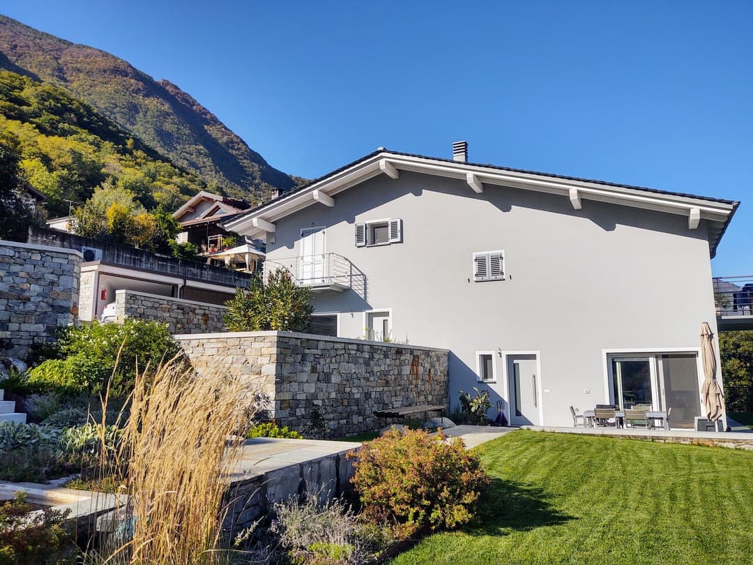 Large Image