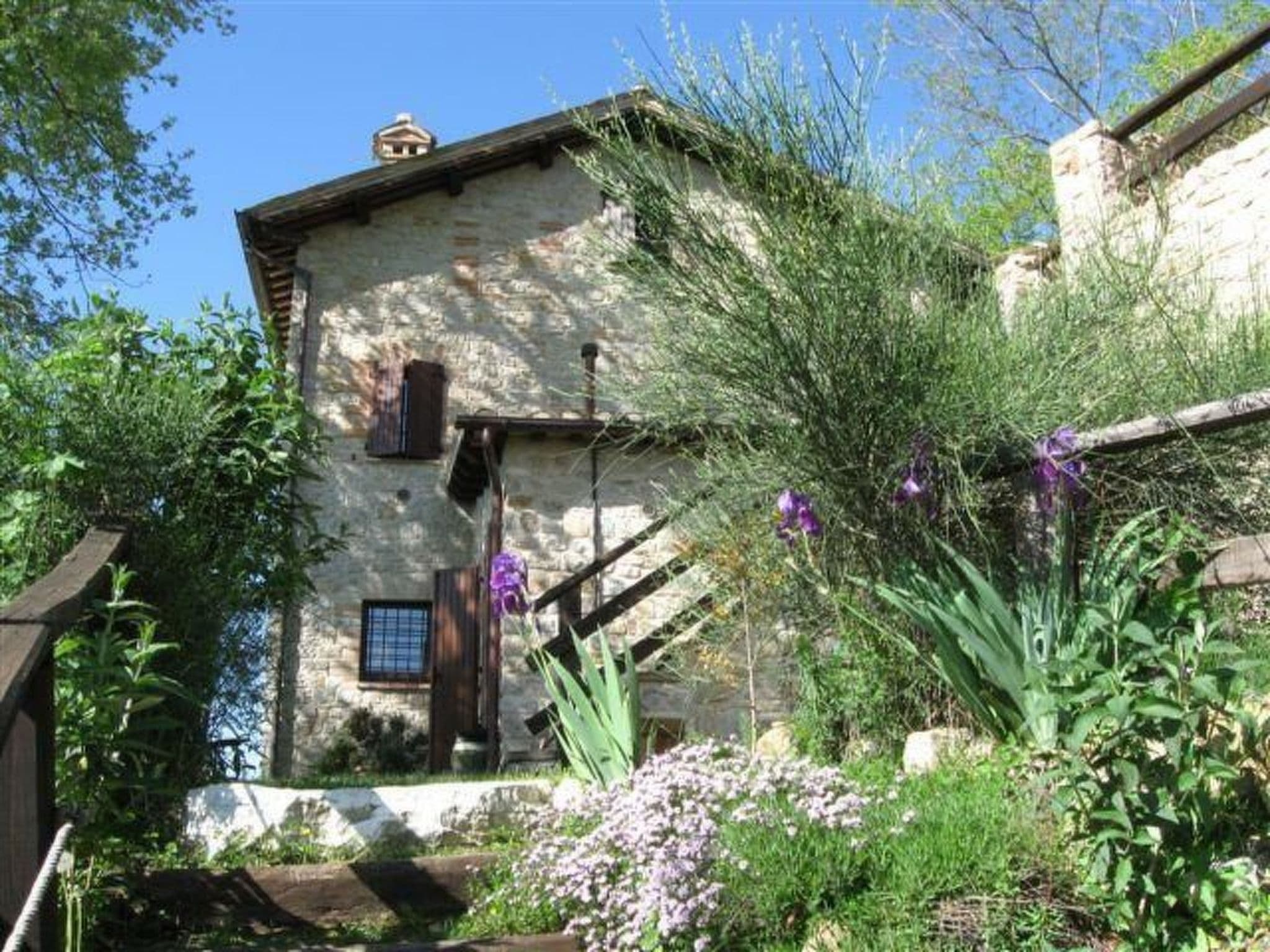 Gallery Image 17