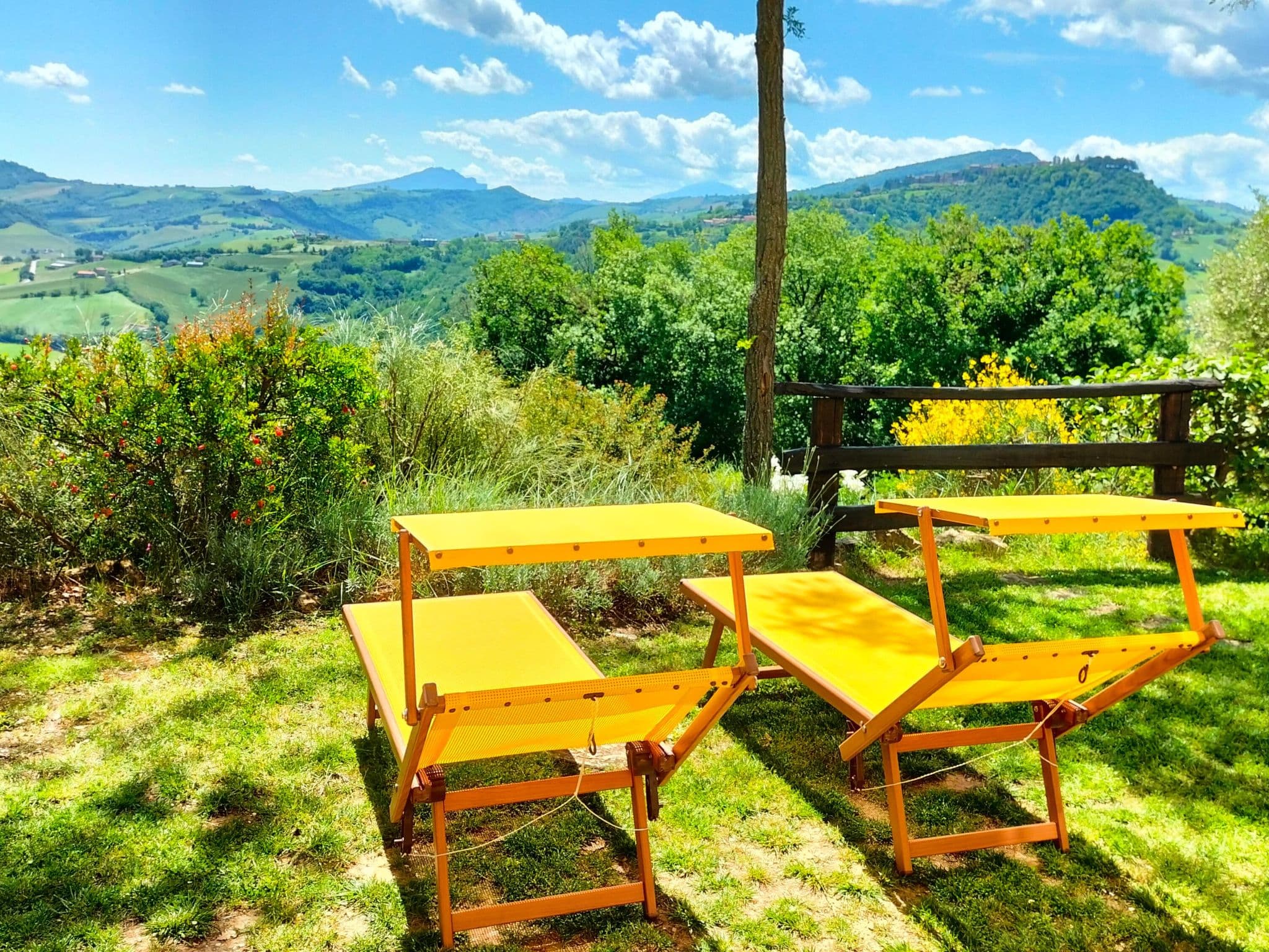 Gallery Image 22