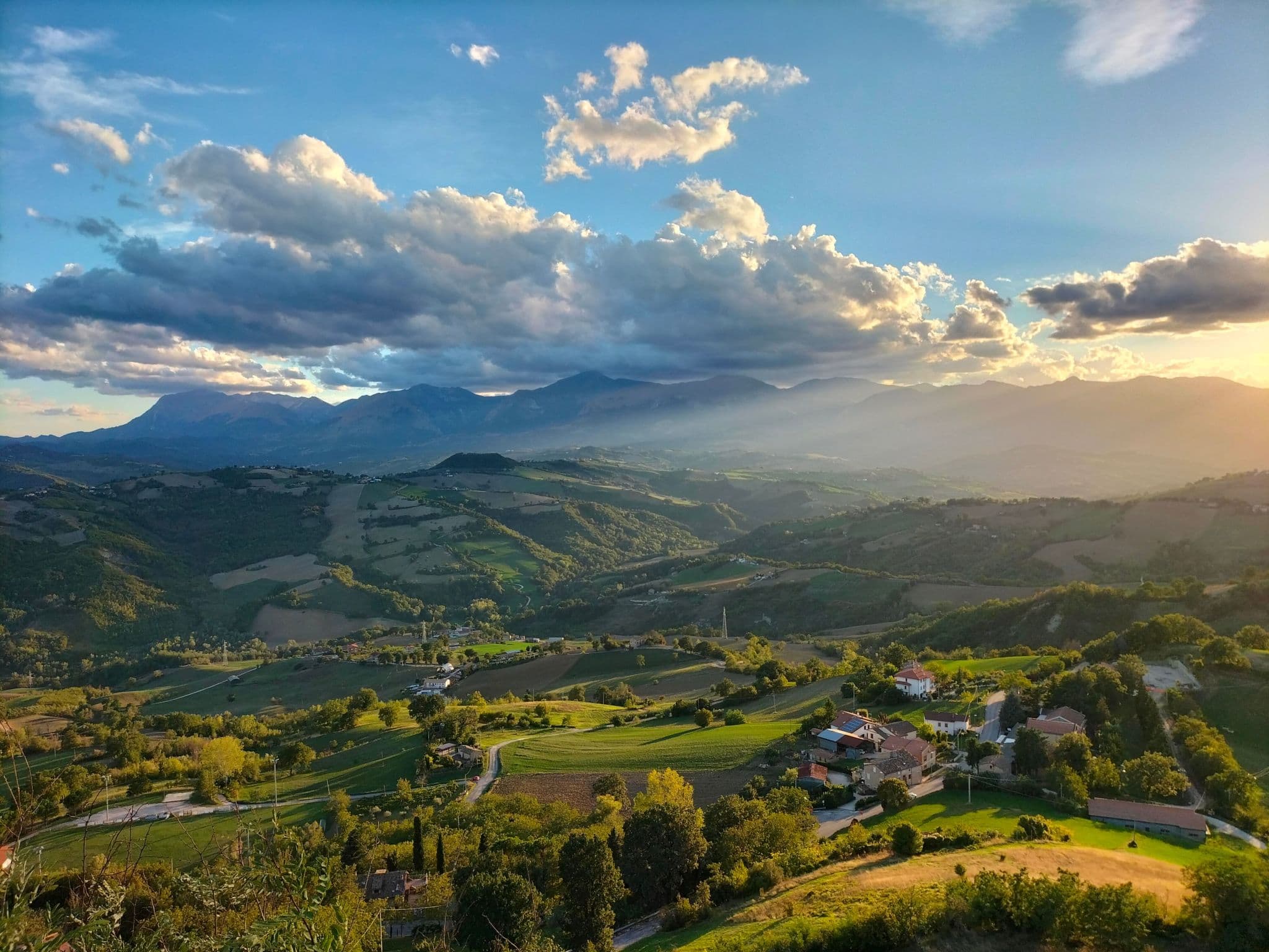 View