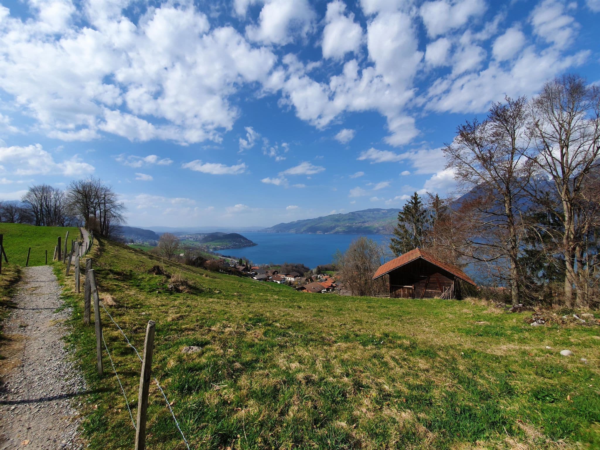 View