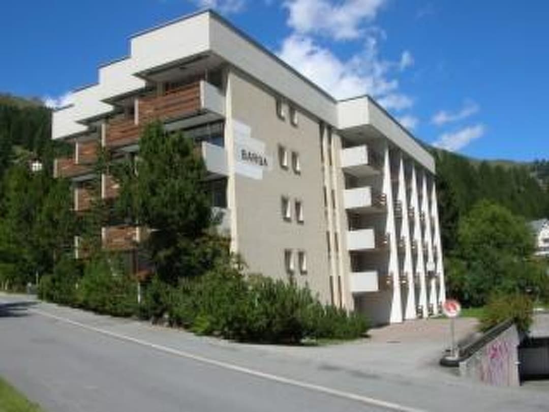 Large Image