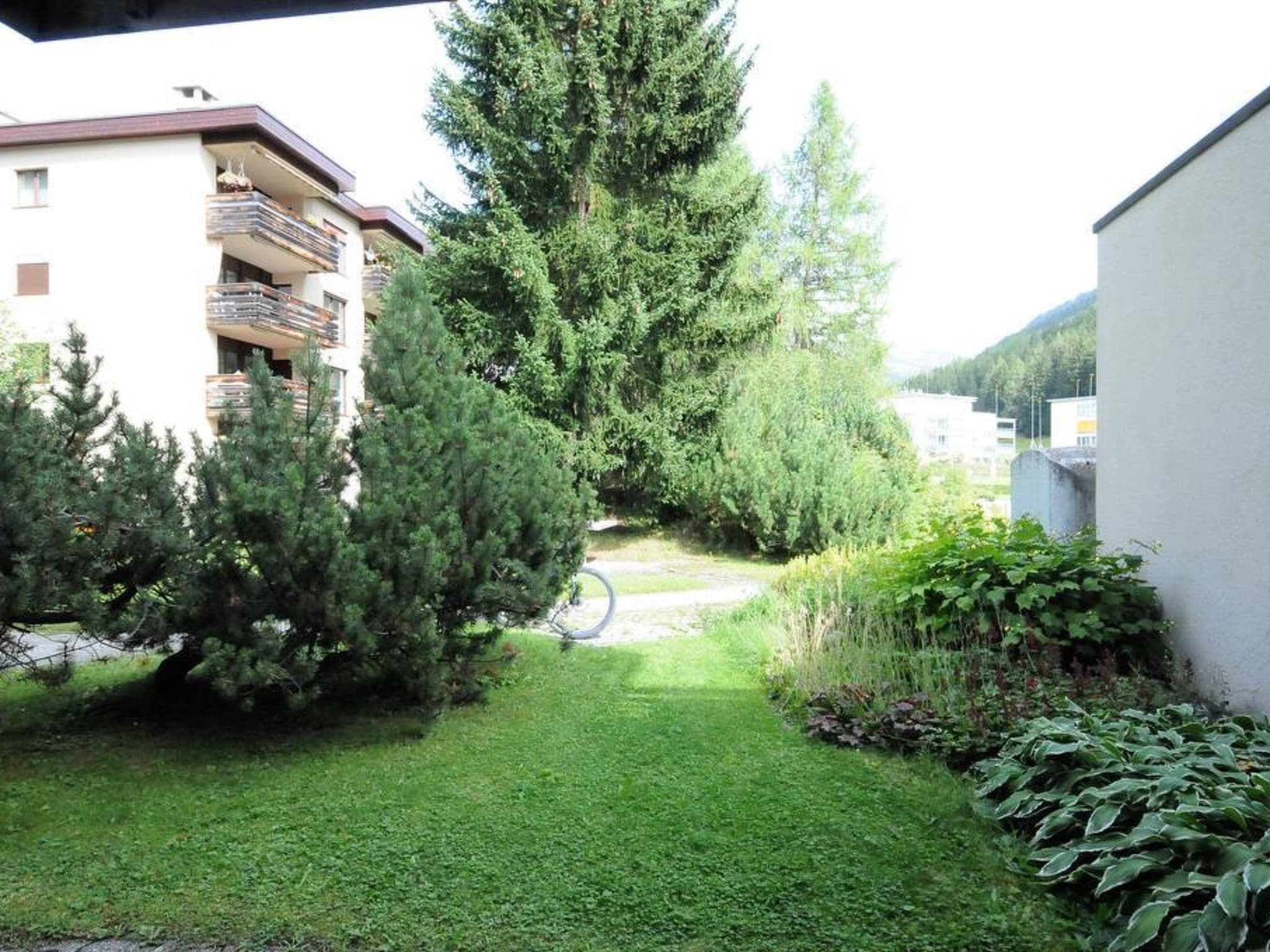Gallery Image 15
