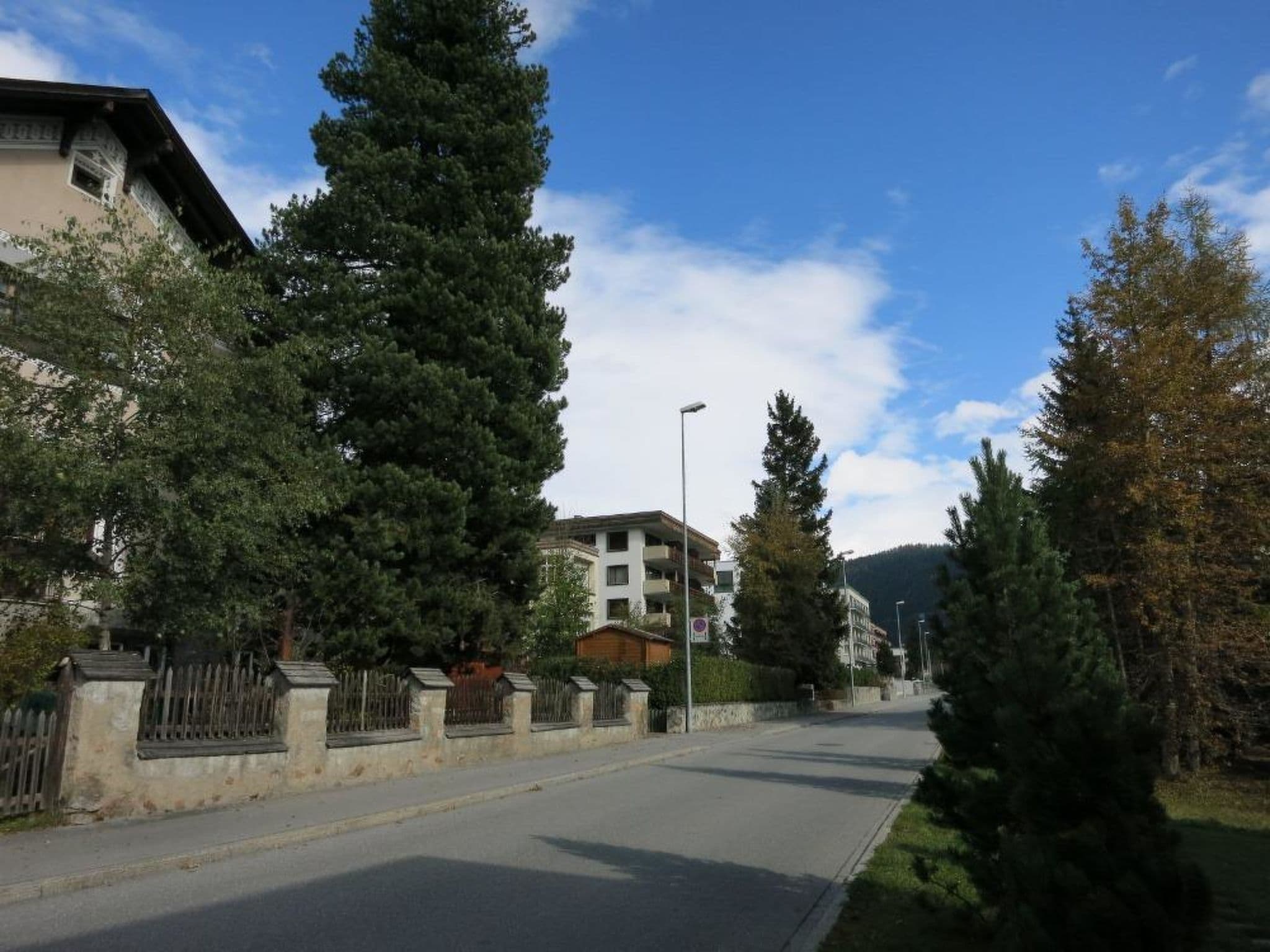 Gallery Image 12