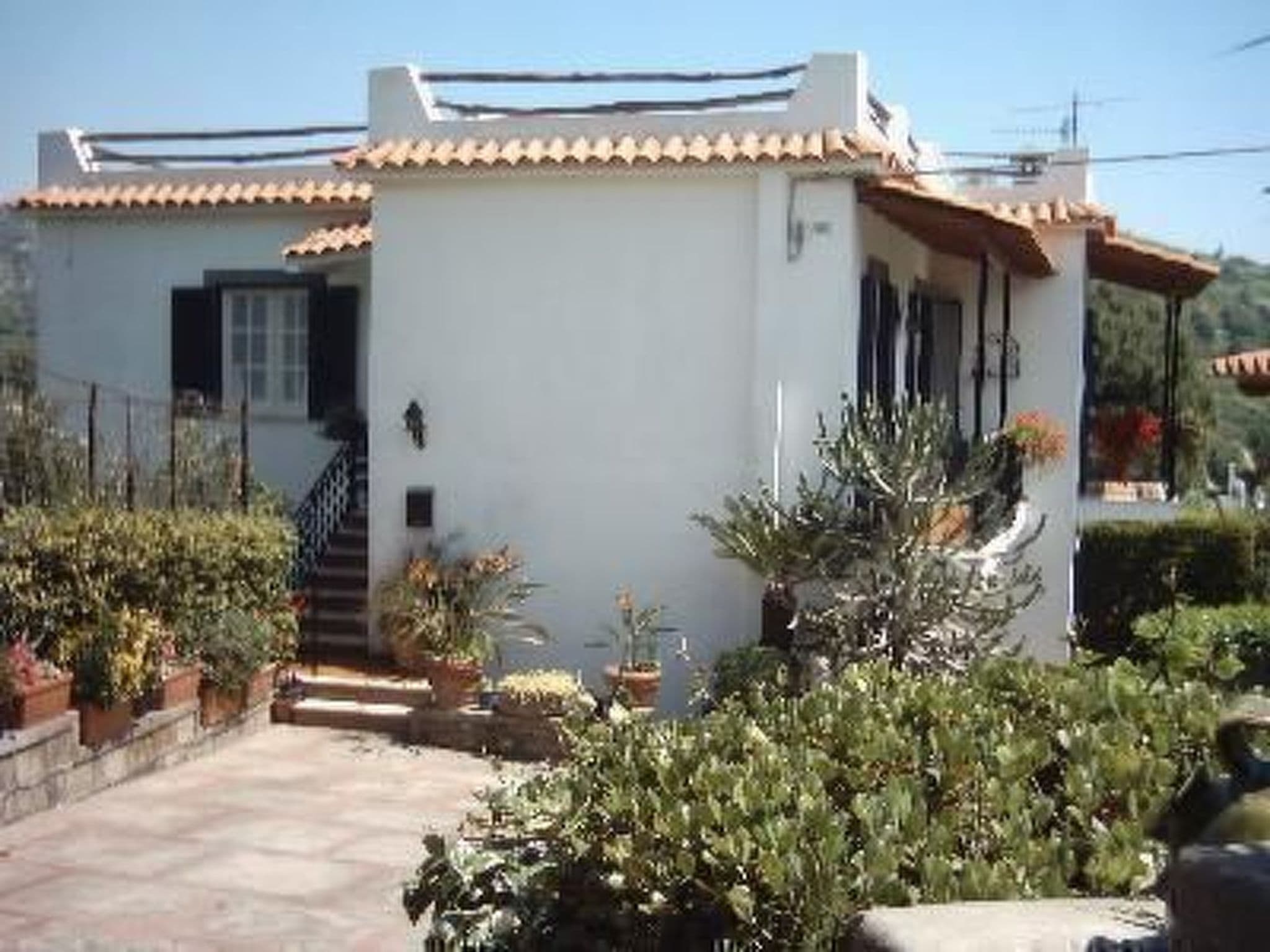 Gallery Image 21