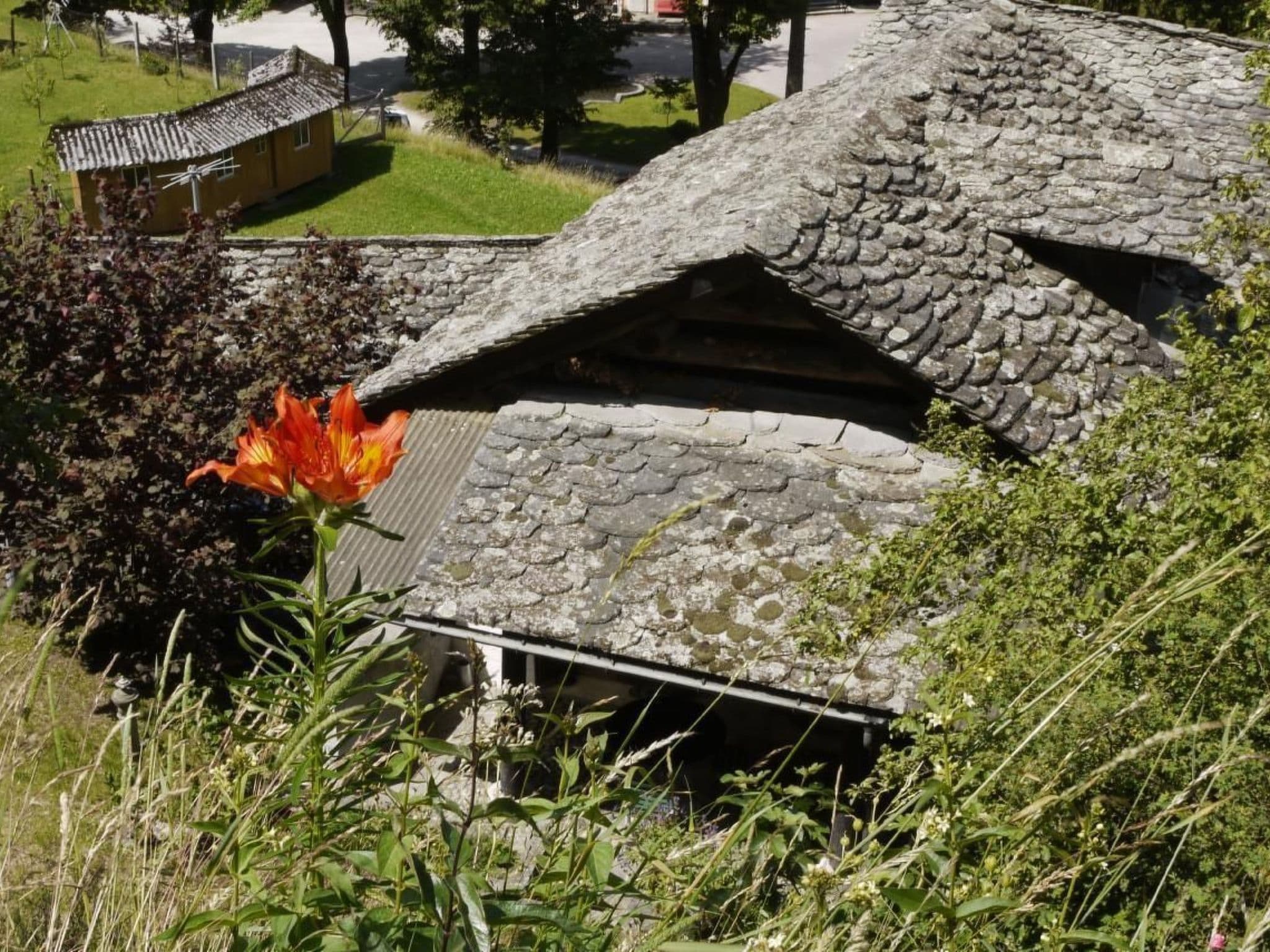 Gallery Image 14