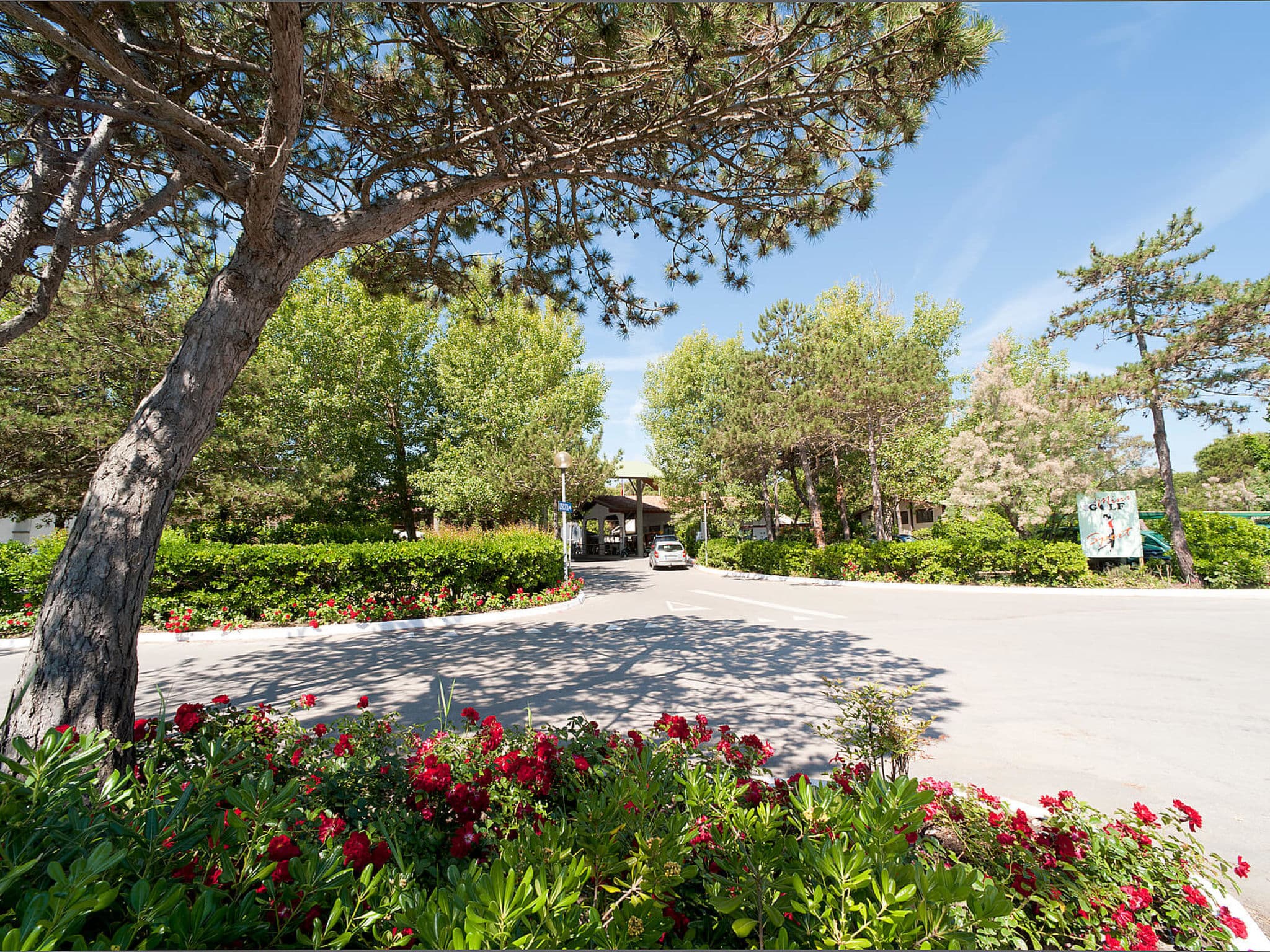 Outdoor