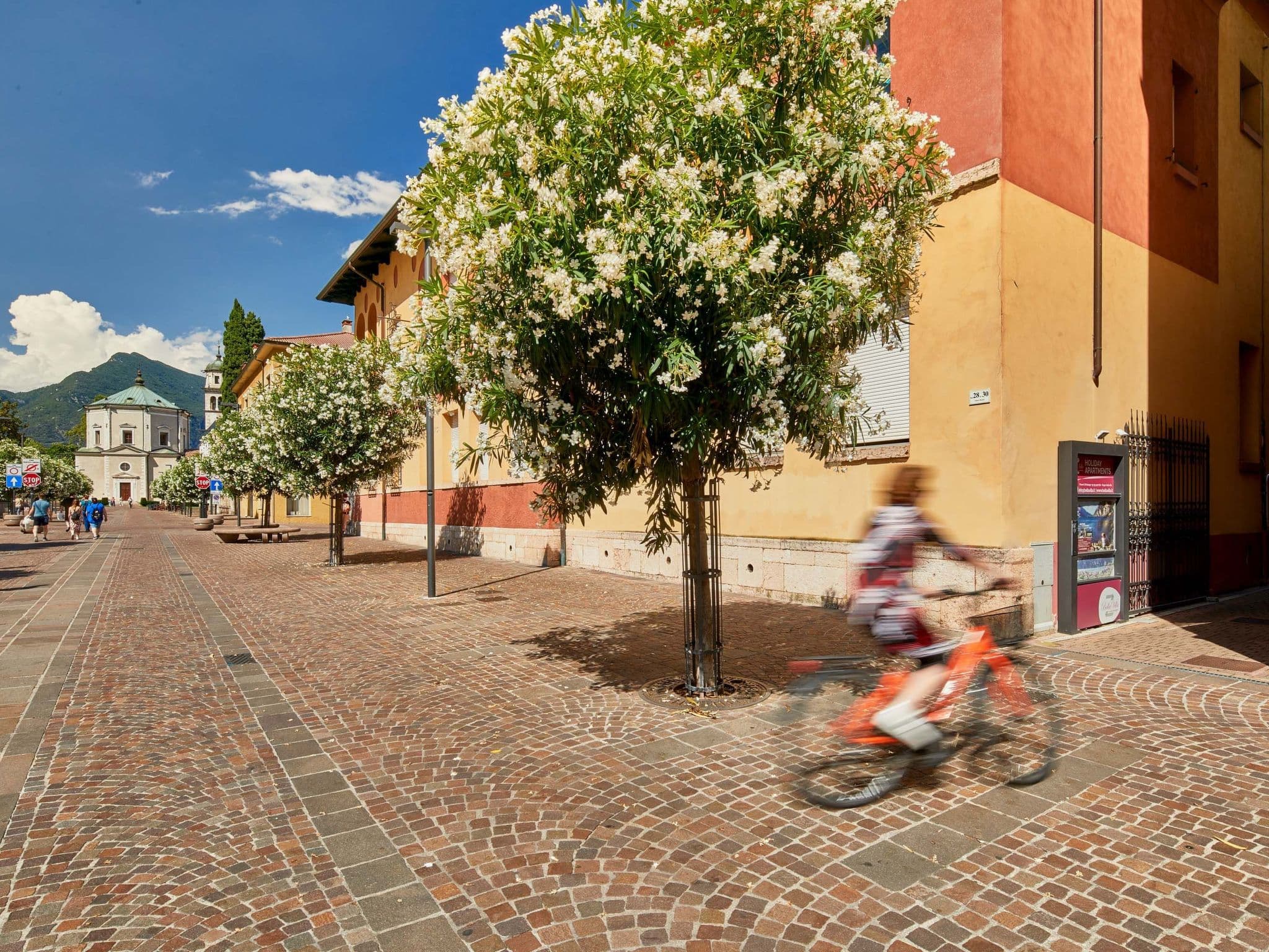Gallery Image 20