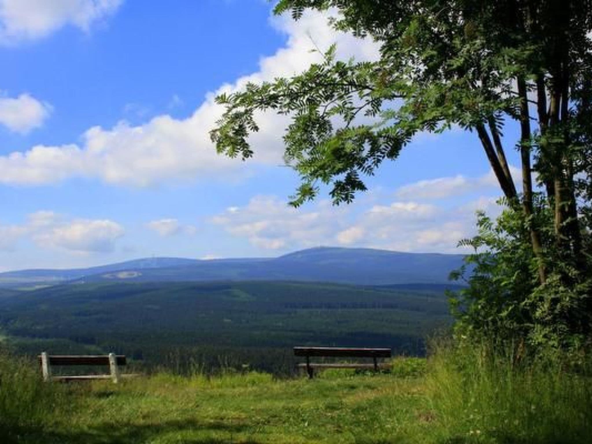 View