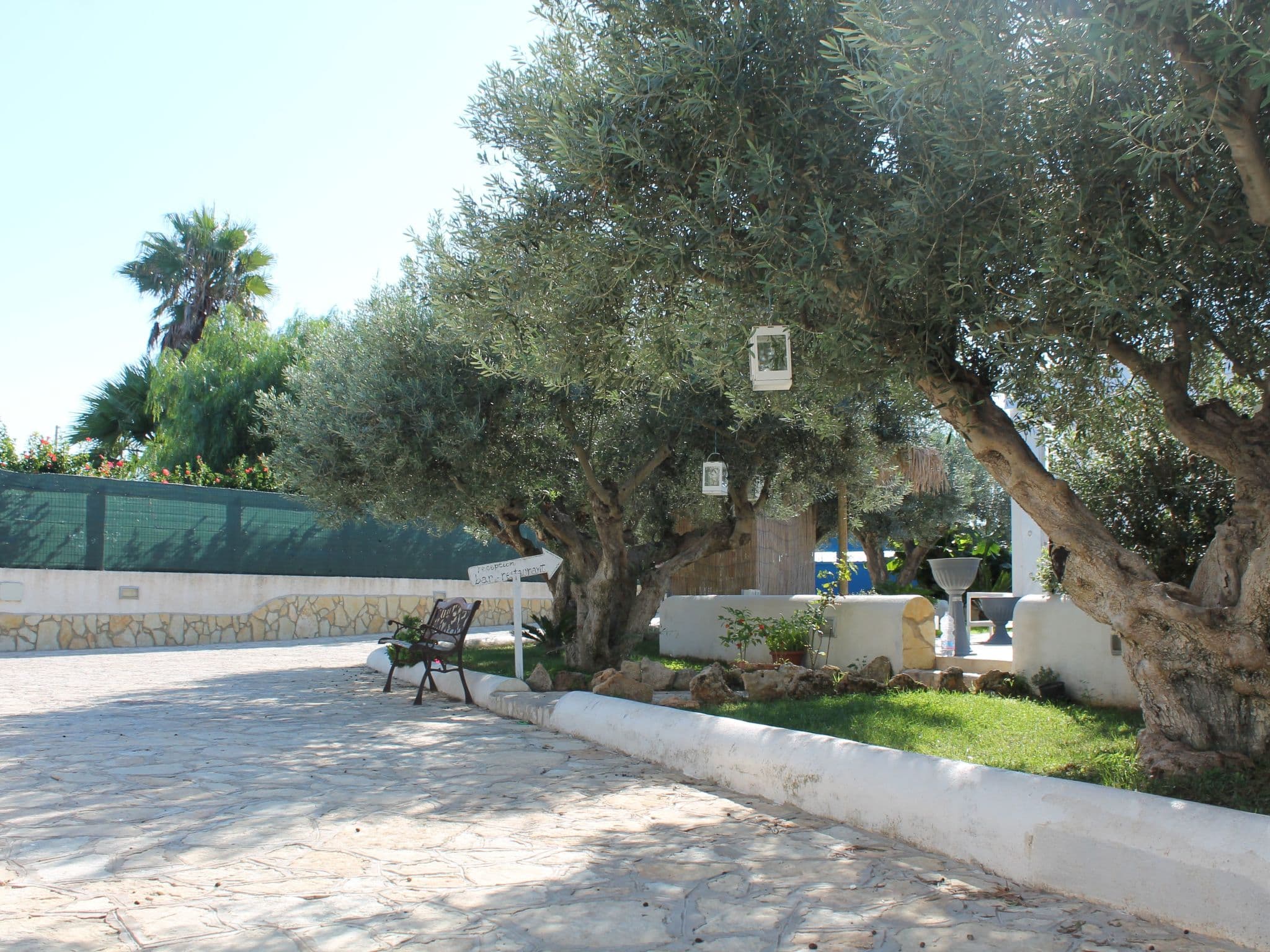 Gallery Image 10