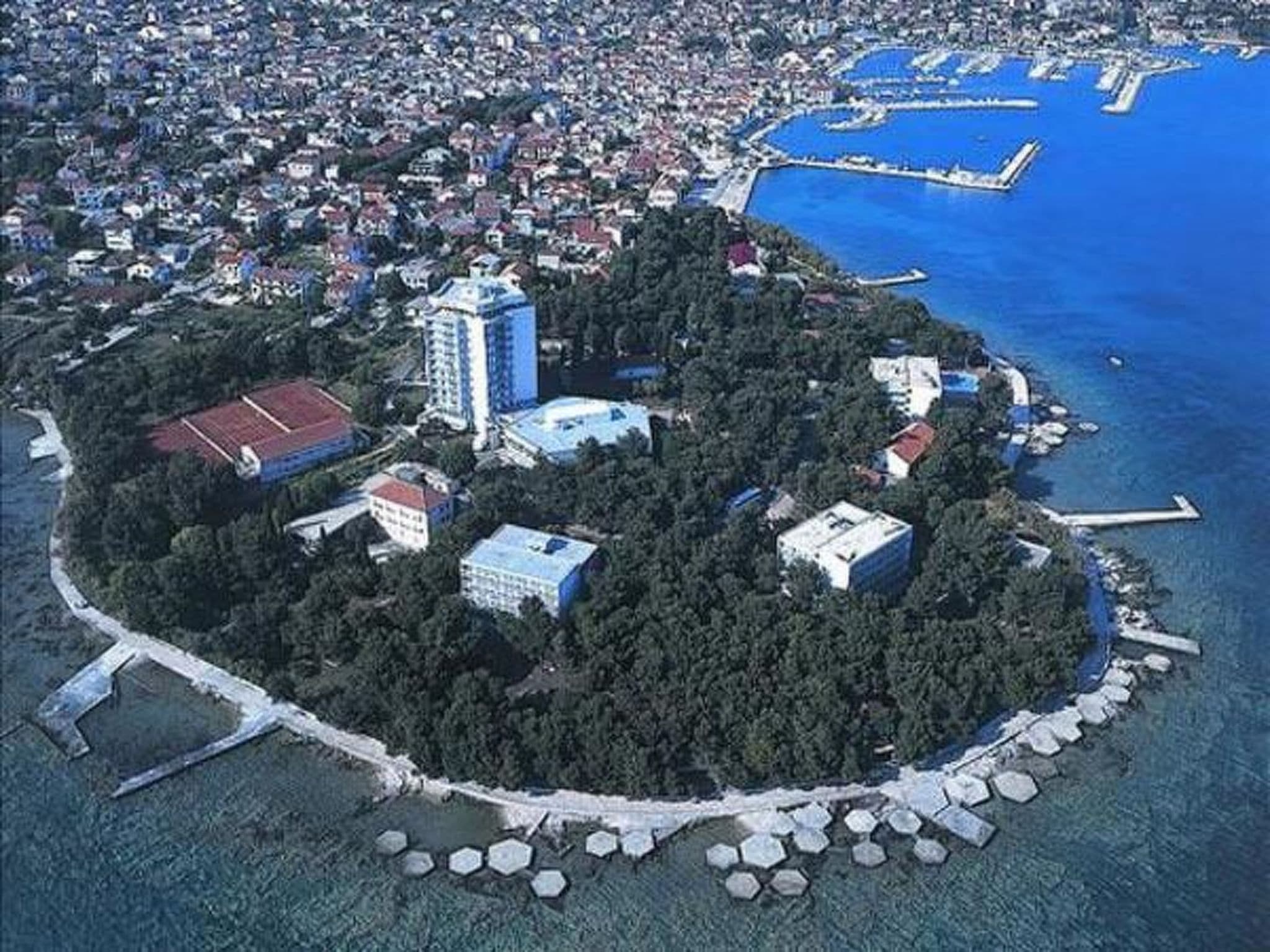 View