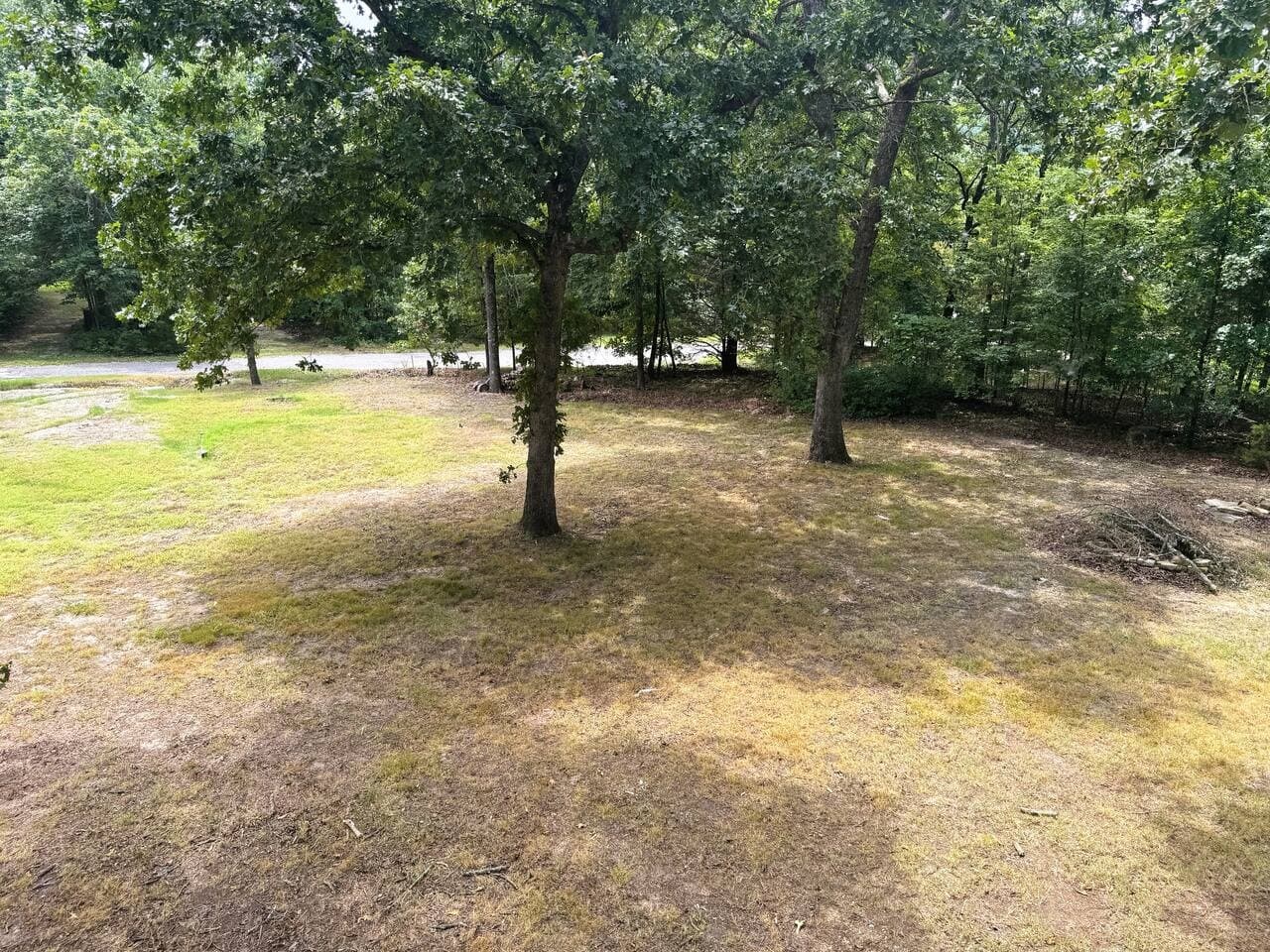 Gallery Image 33