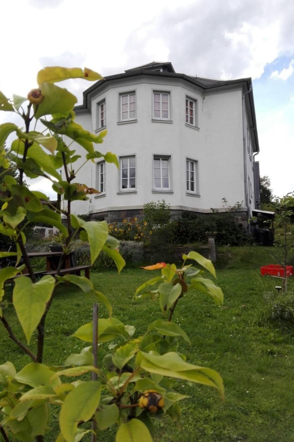 Gallery Image 26
