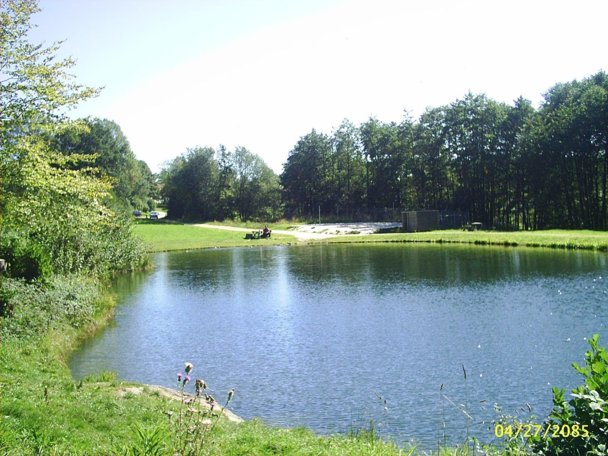 Gallery Image 17
