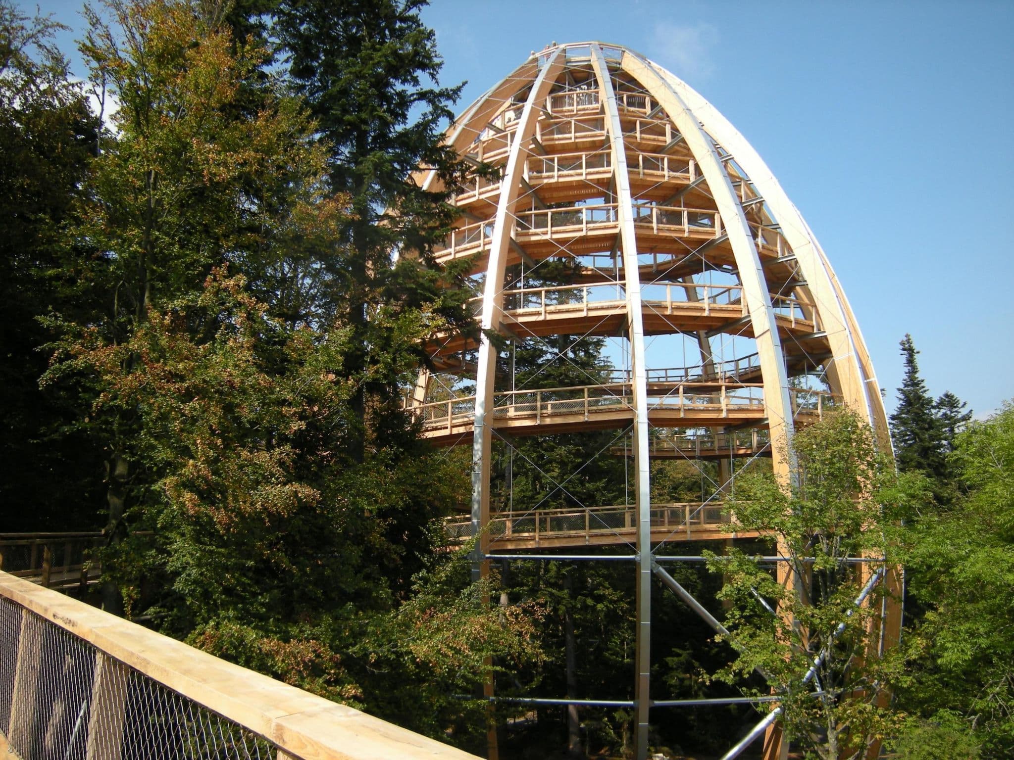 Gallery Image 18
