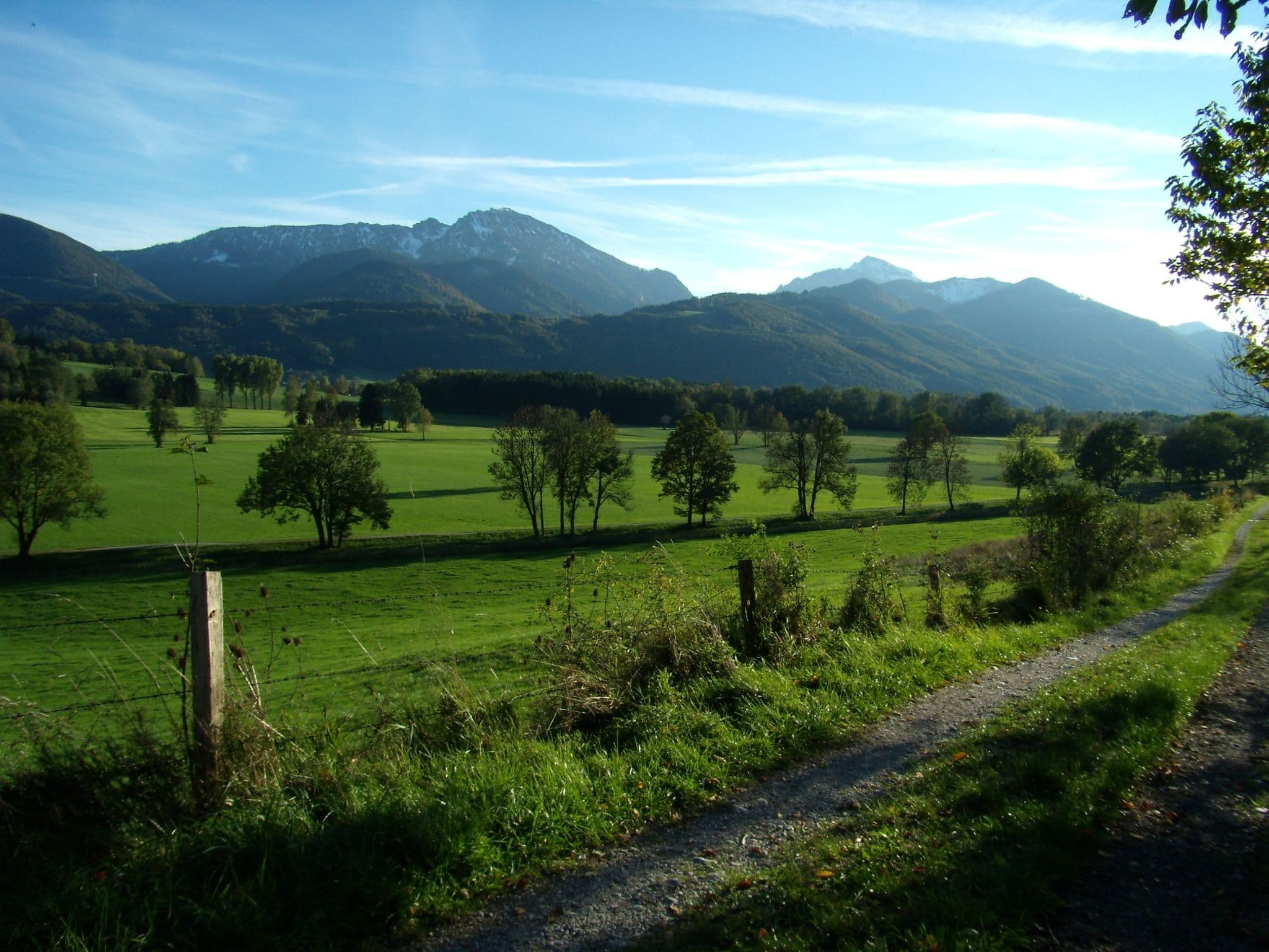 View