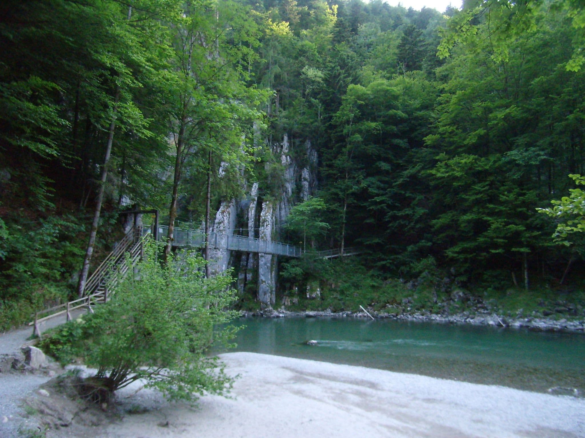 Gallery Image 33