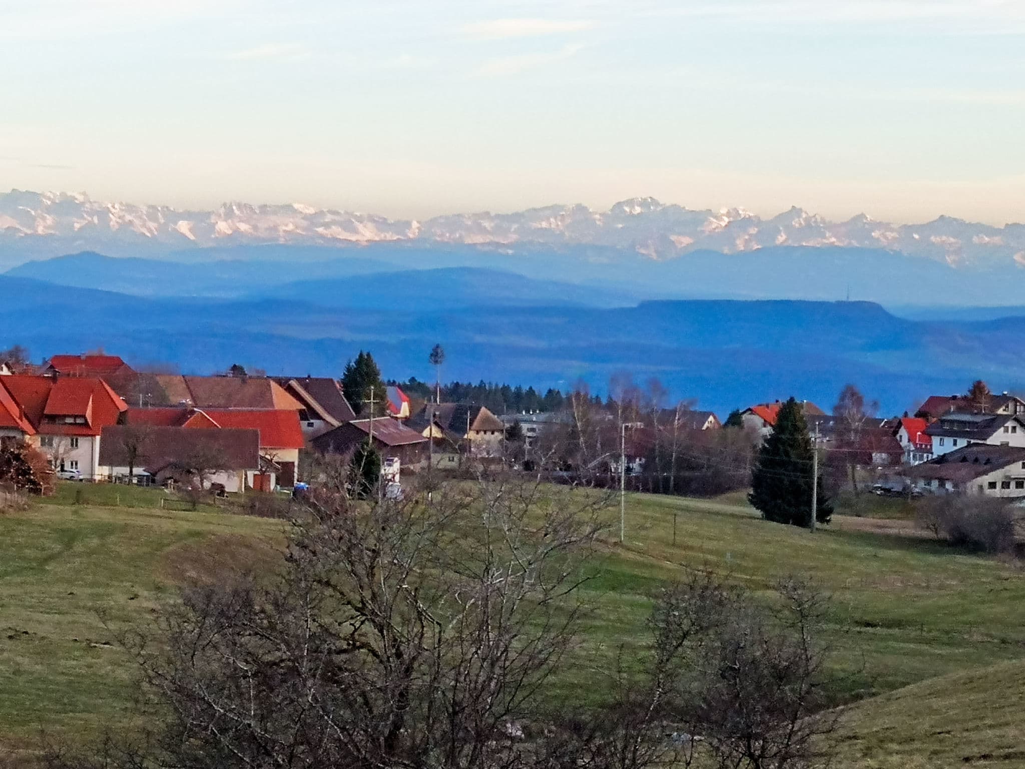 View