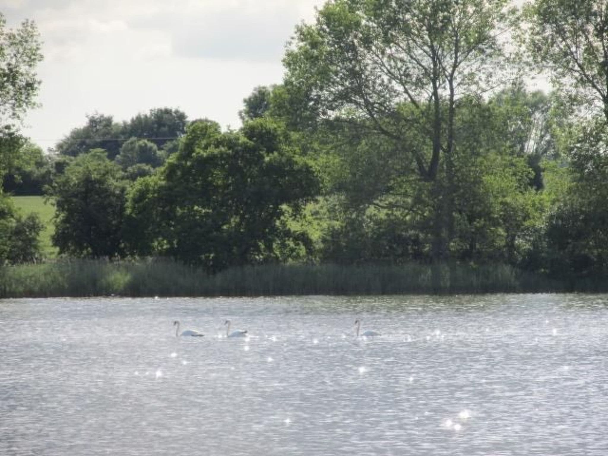 Gallery Image 20