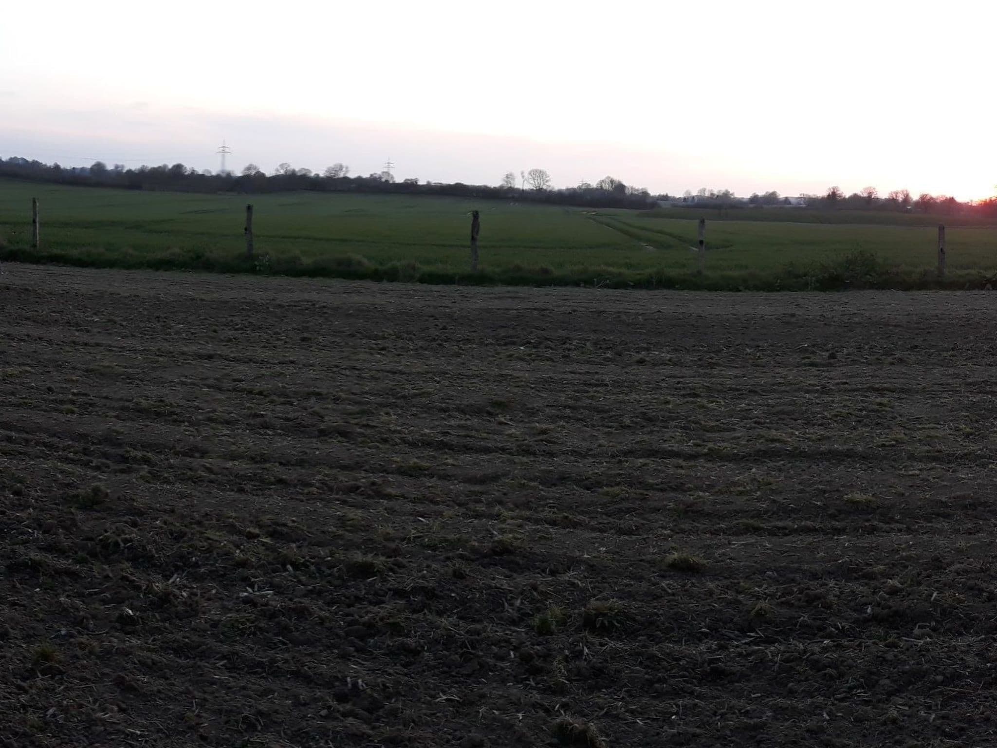 Gallery Image 29