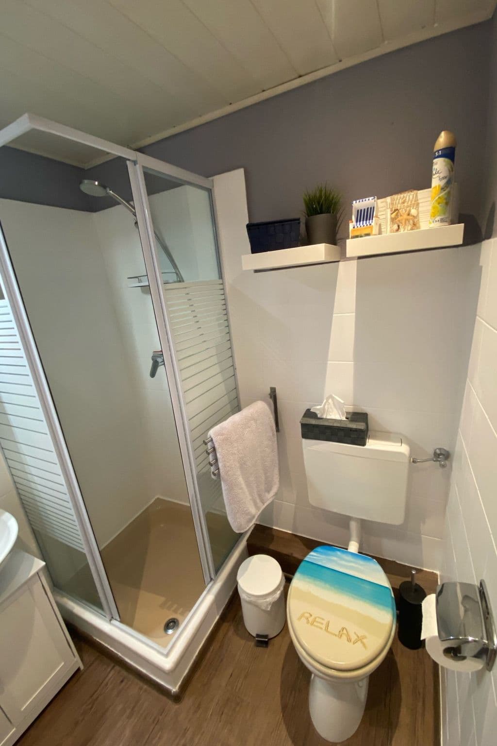 Bathroom / Wellness
