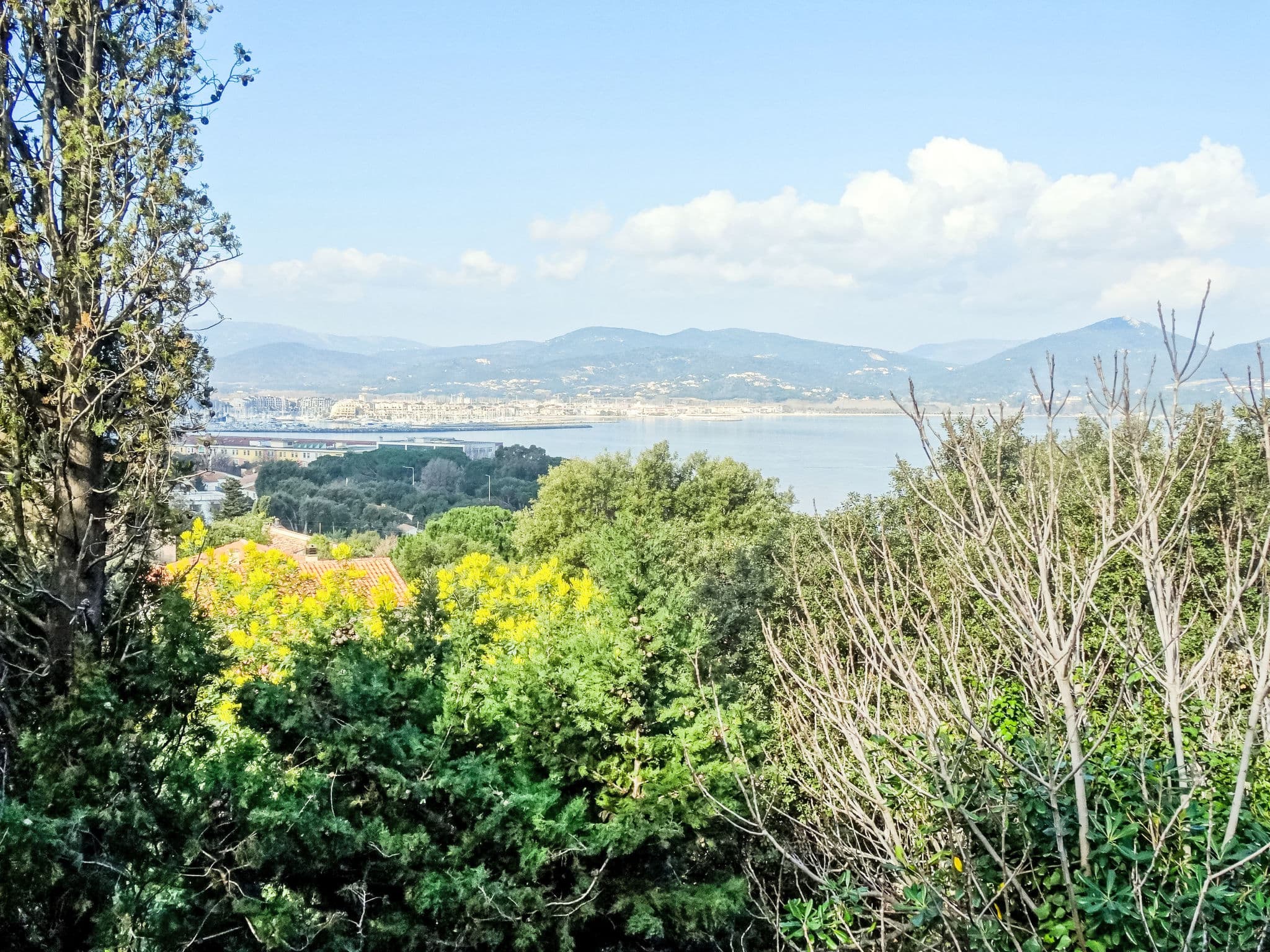 View
