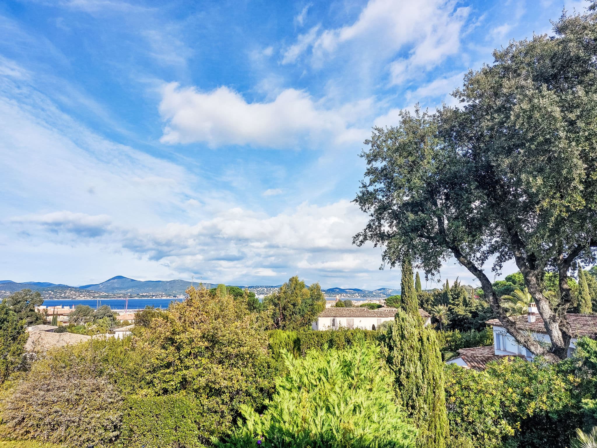 View