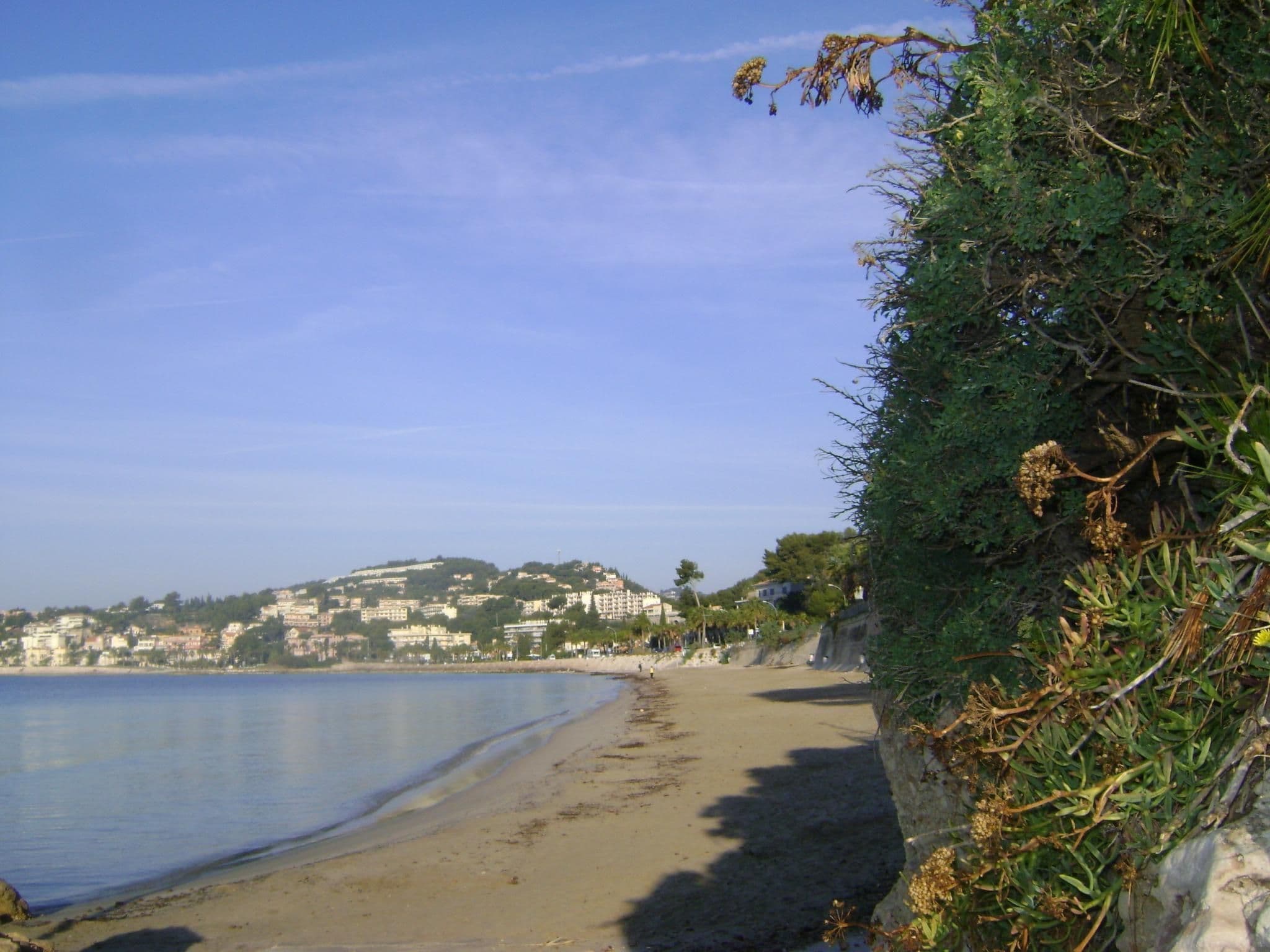 Beach
