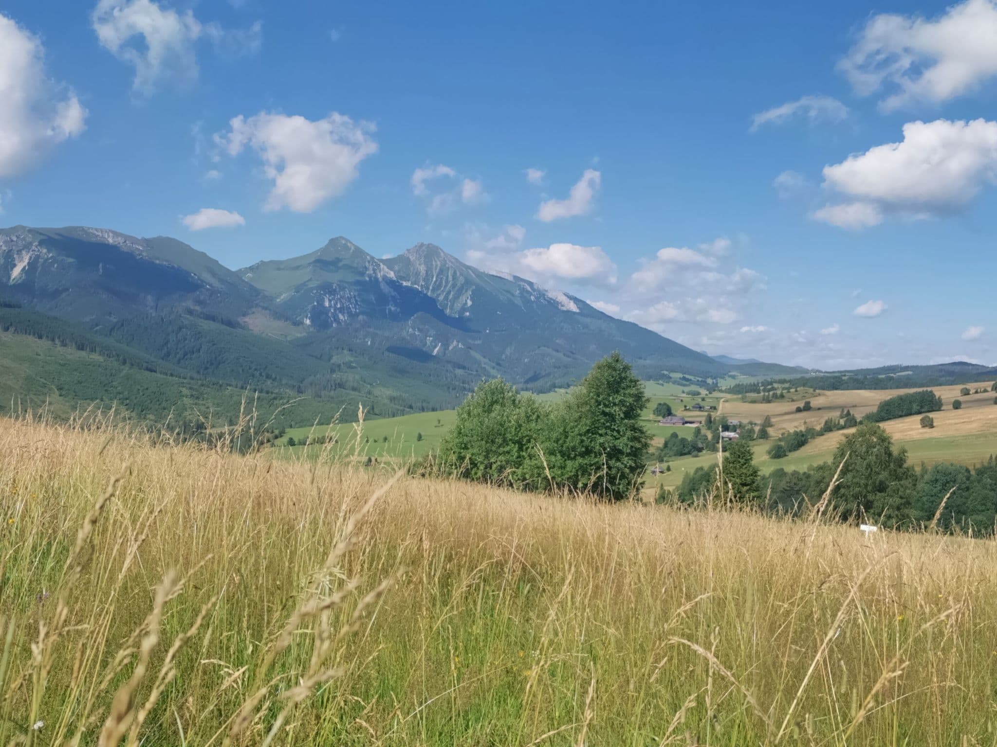 View