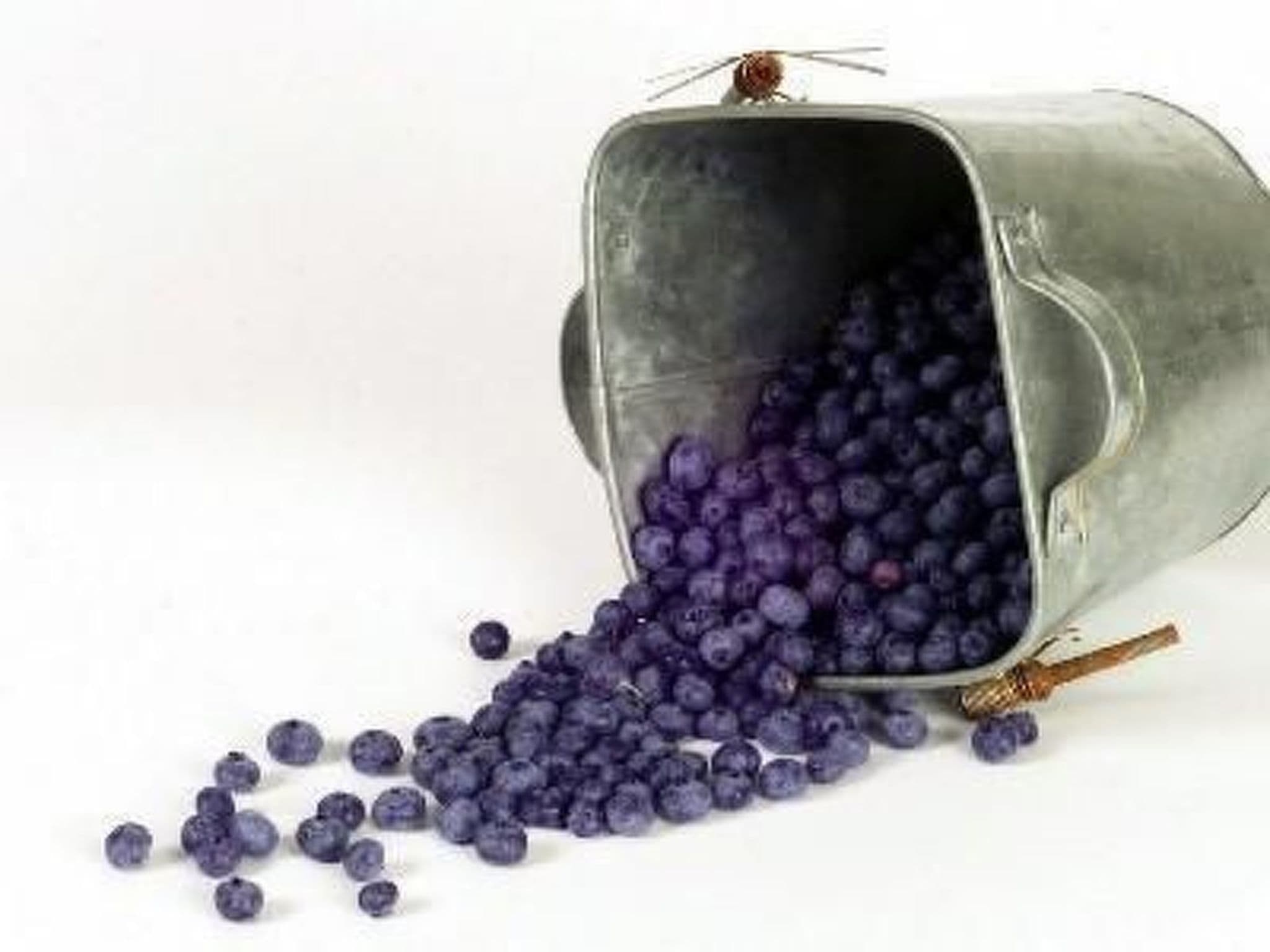 Gallery Image 30