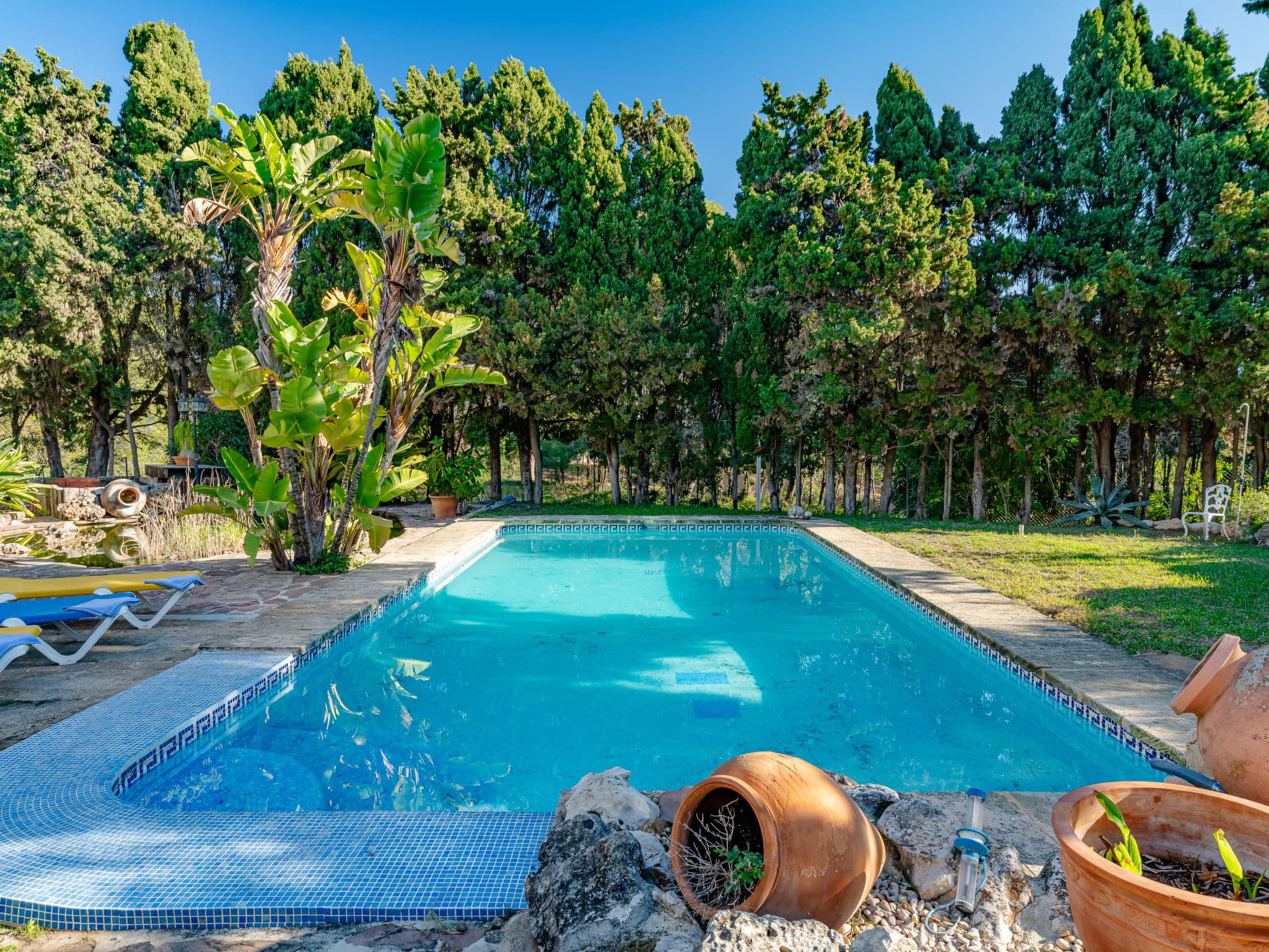 Pool Outdoor