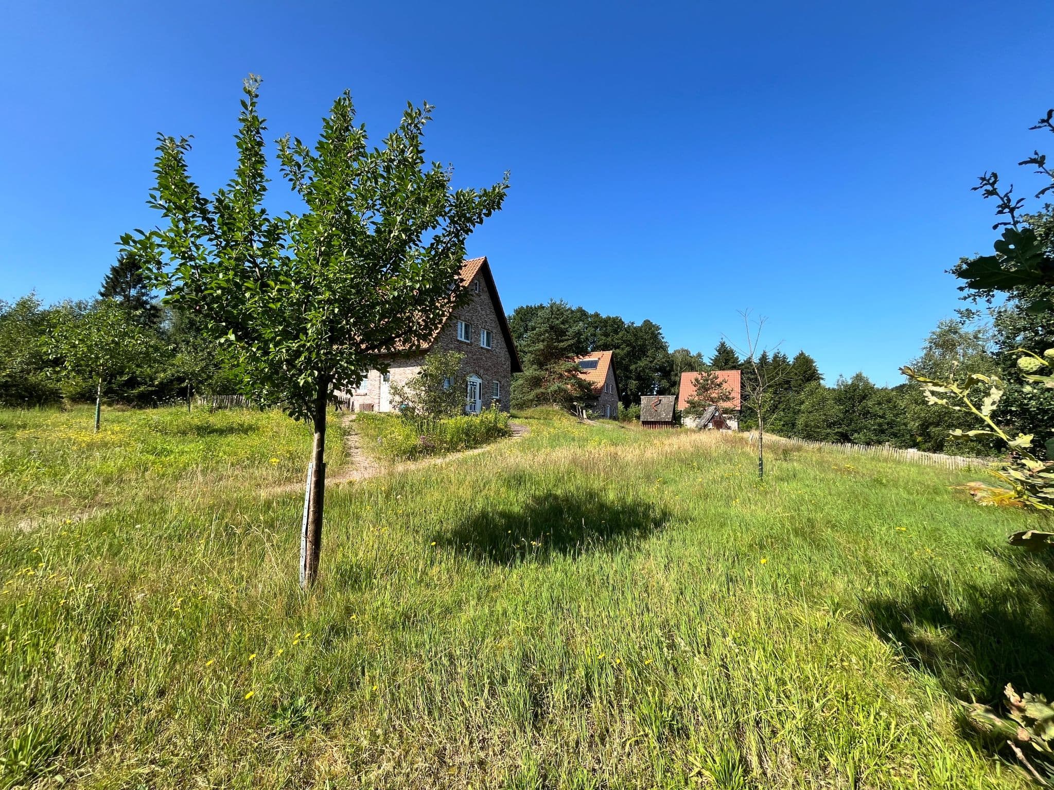 Gallery Image 17