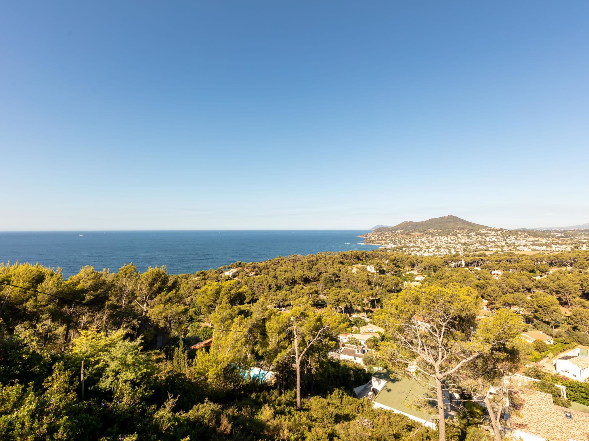 View