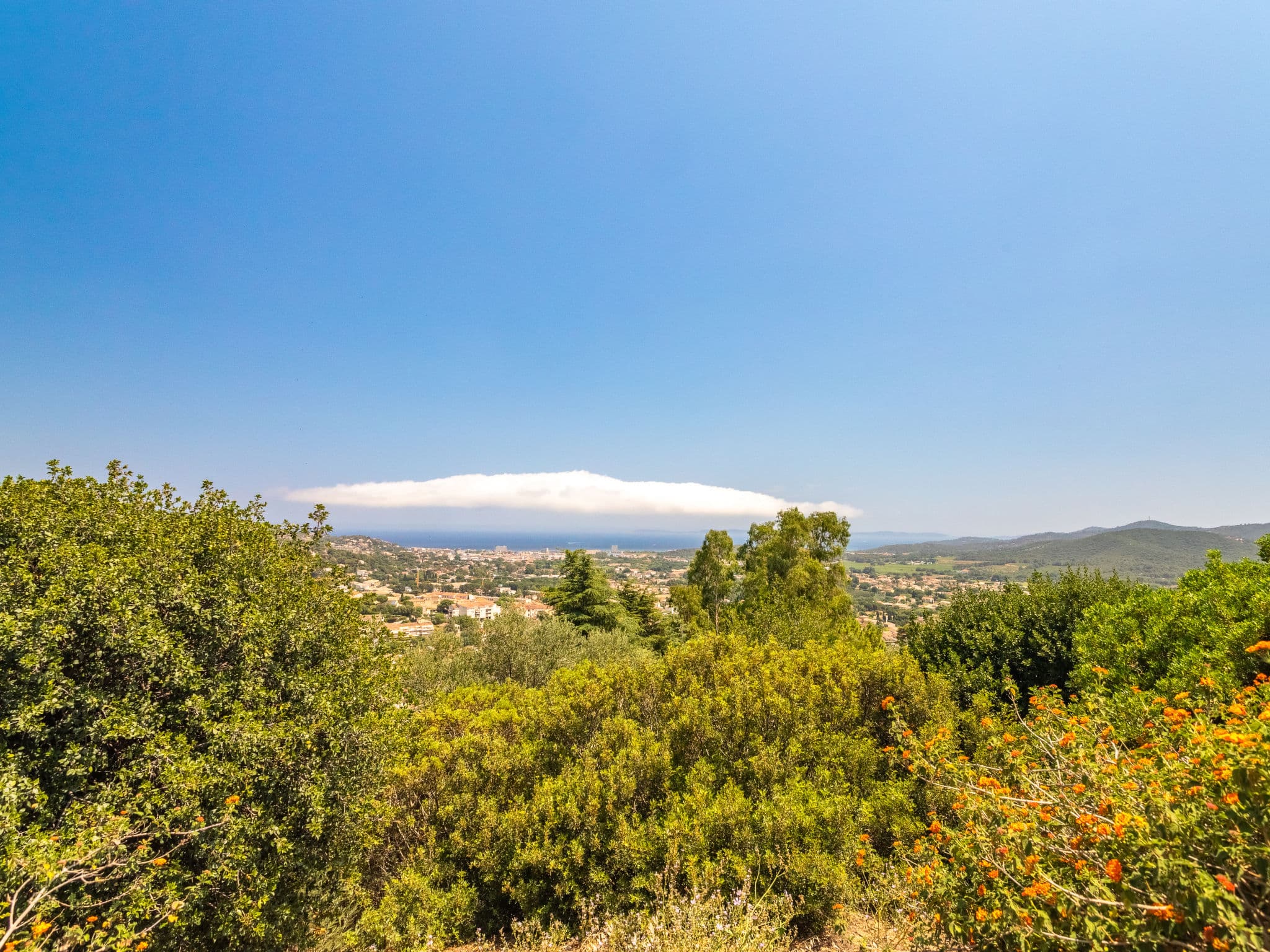 View