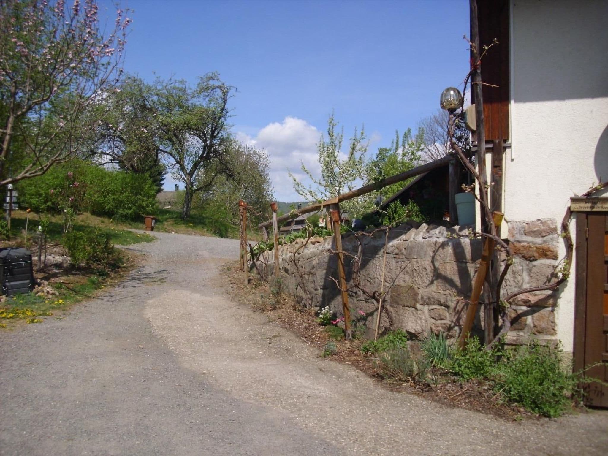 Gallery Image 23