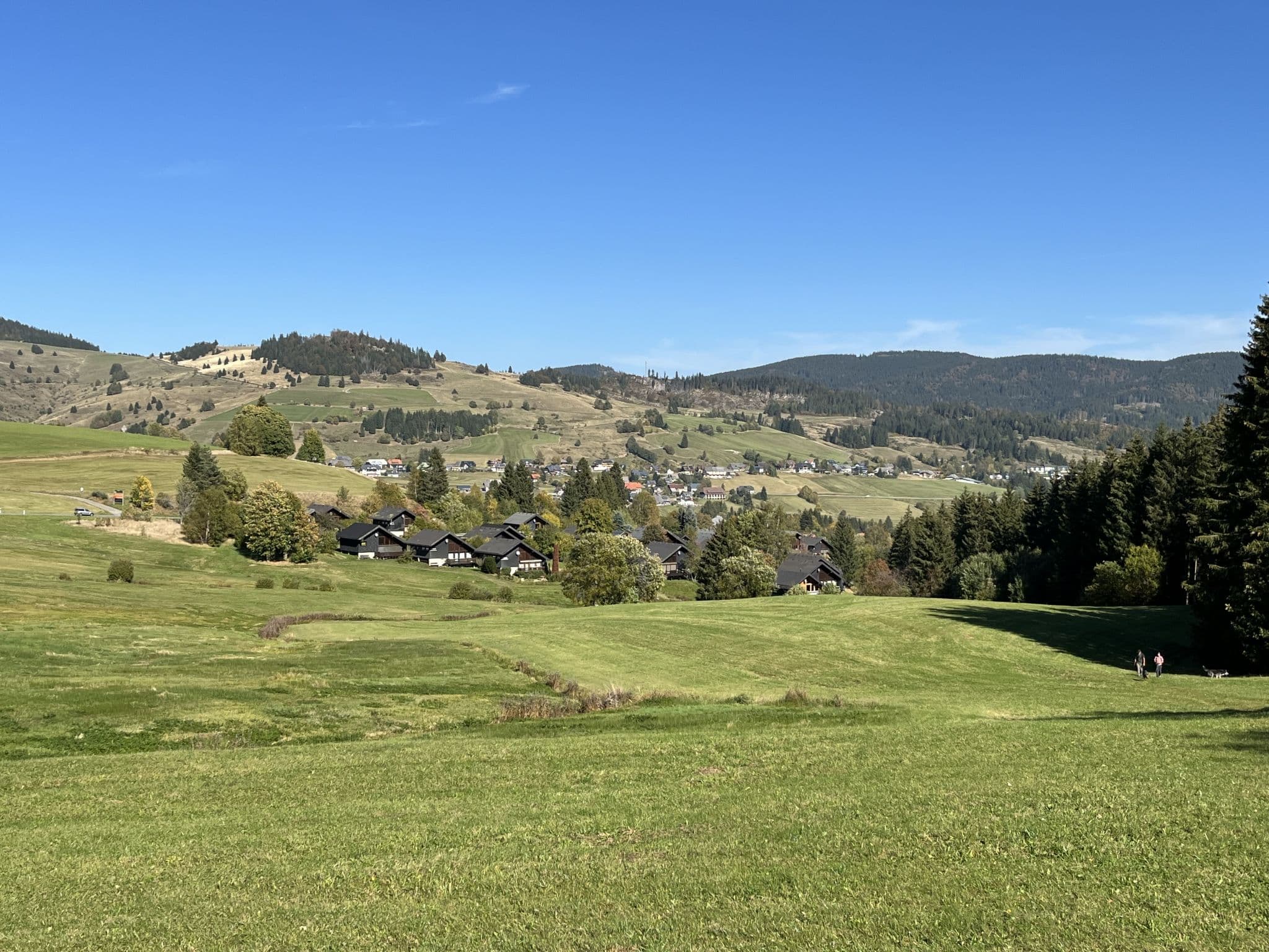View